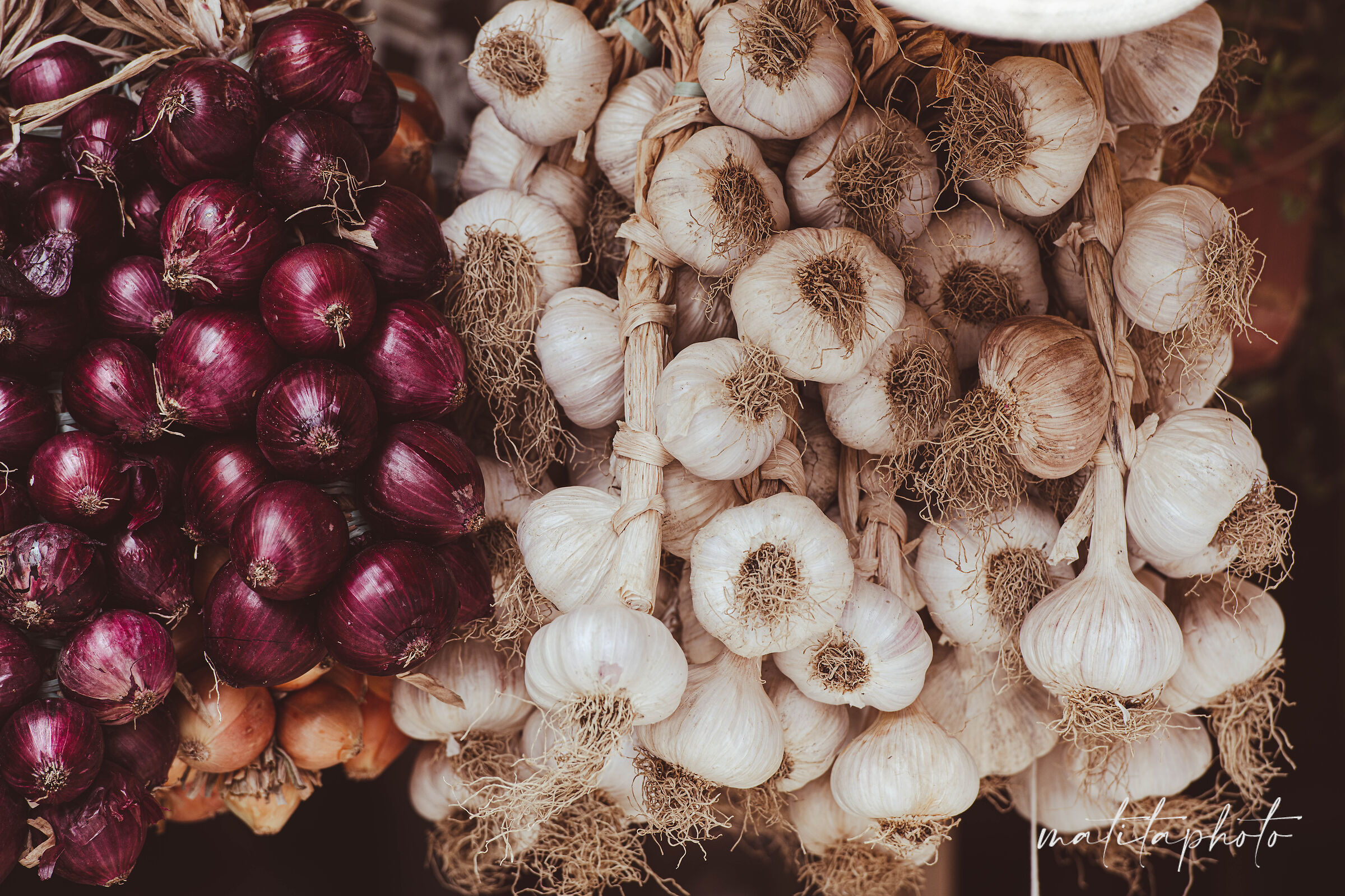 Garlic