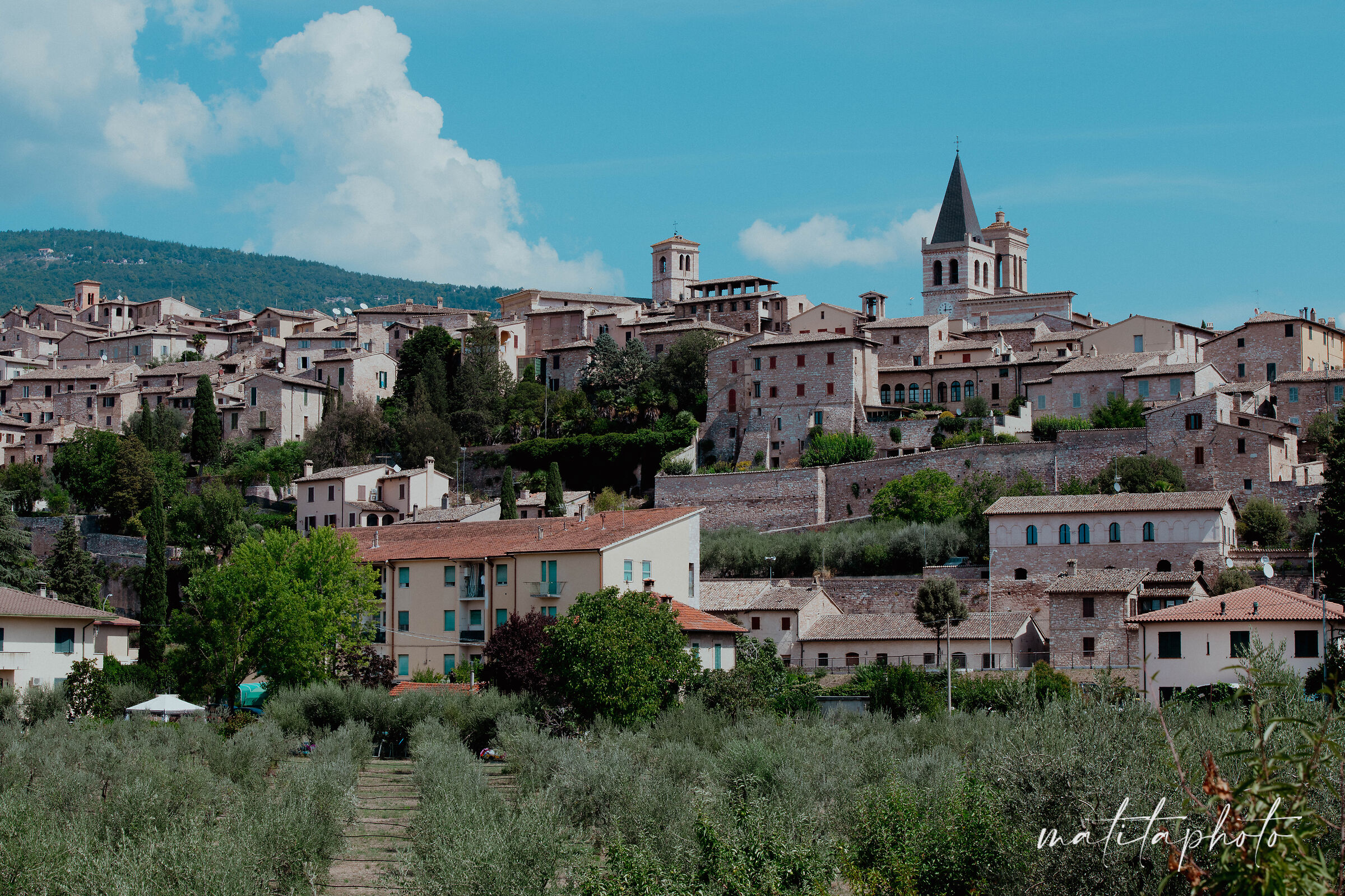 Spello, view