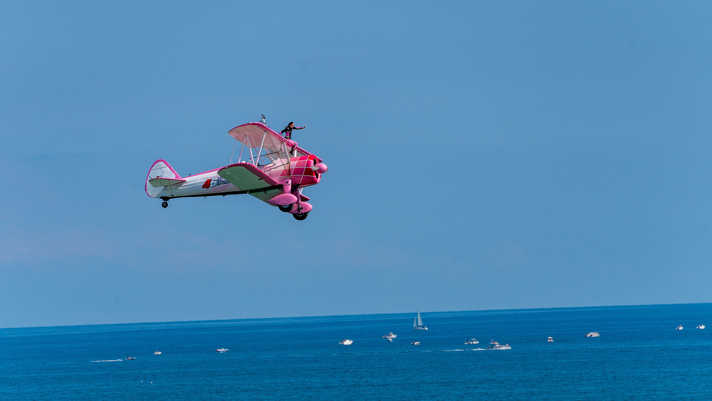 Pink Fly