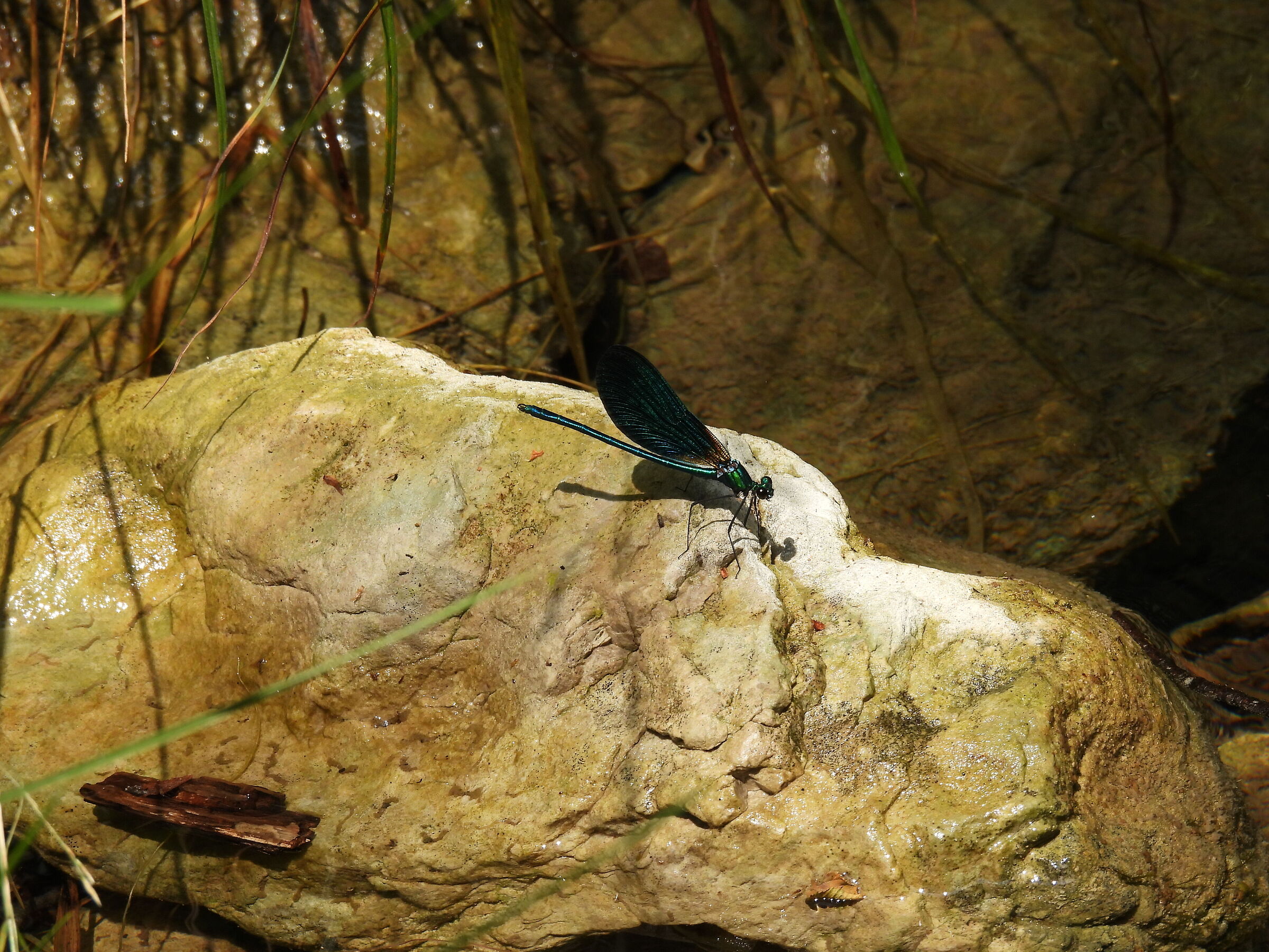 Shining from the source