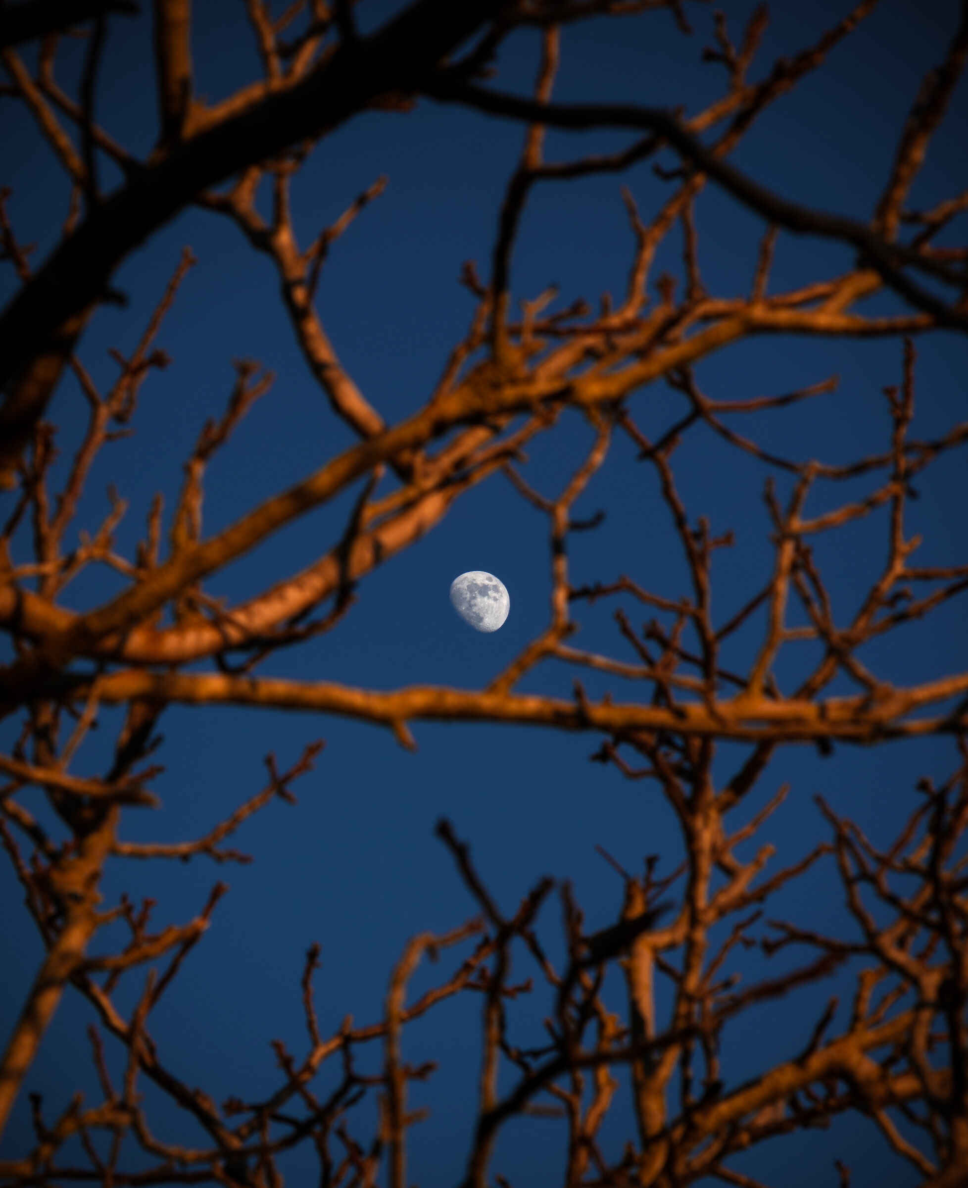 Framed moon