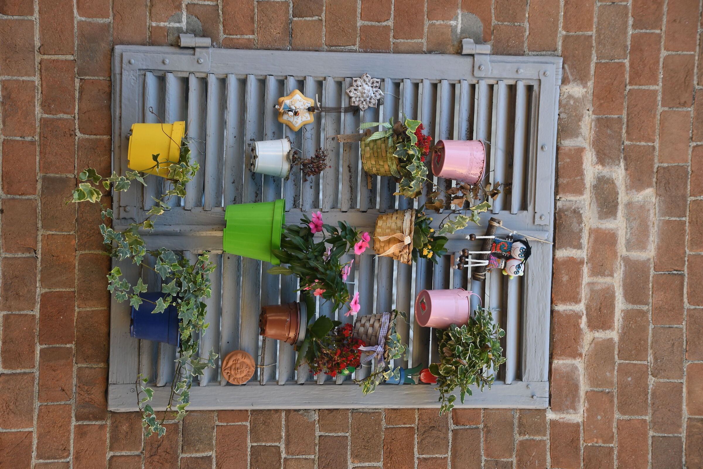 Window in Barolo
