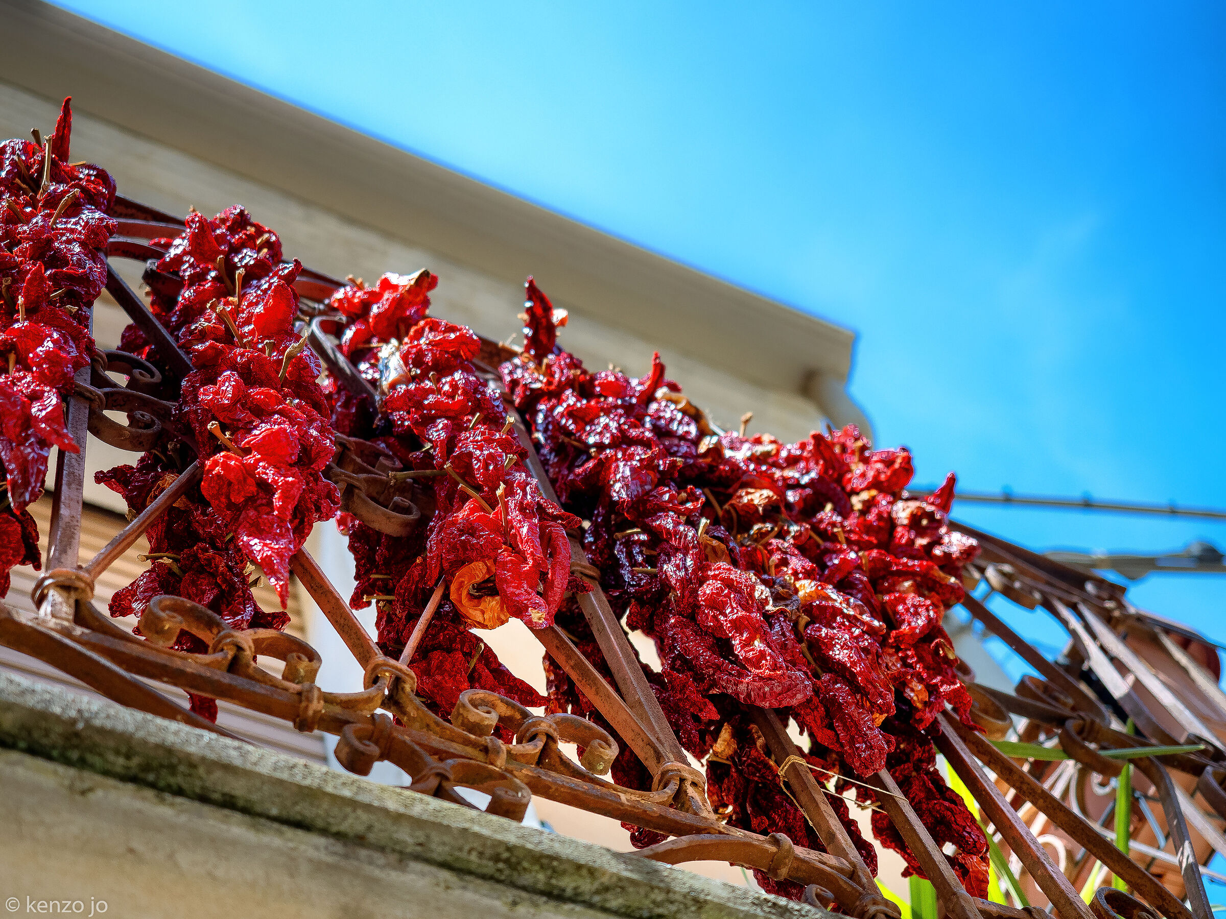 Calabria, particolare