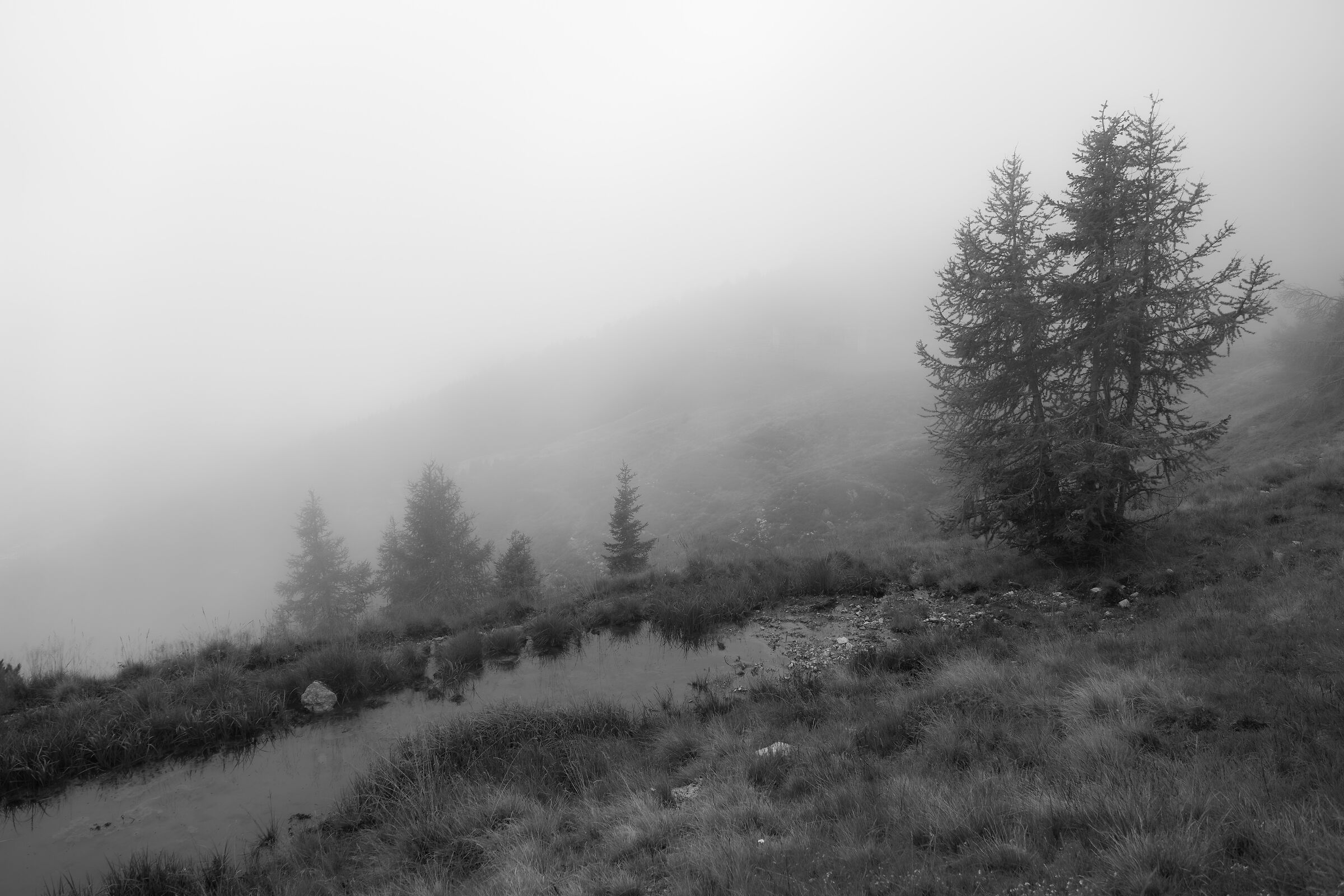 Dolomiti