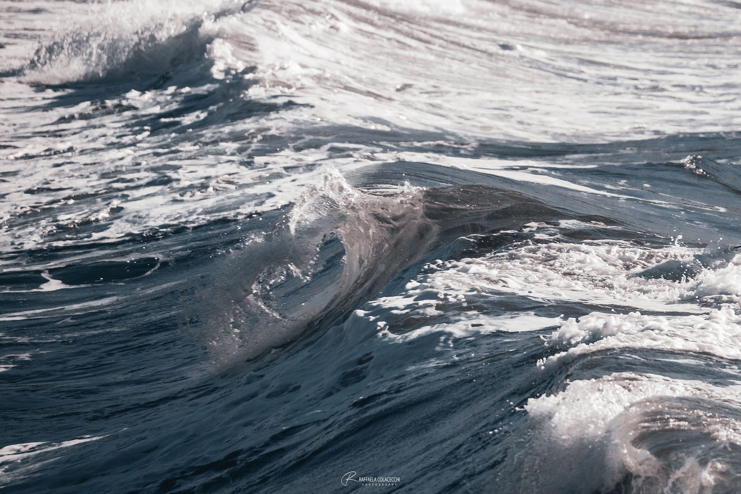 Love the sea