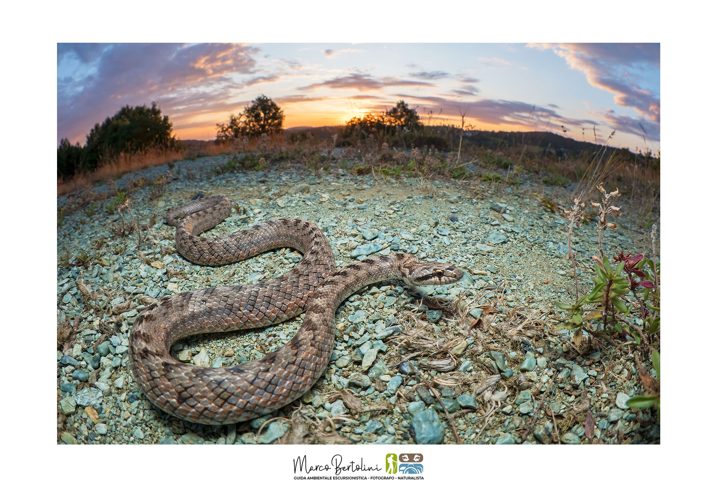 Only cynics and cowards do not wake up at dawn