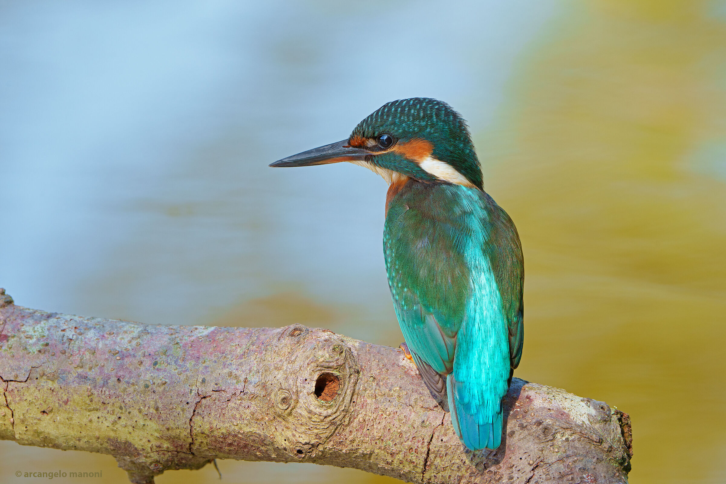 When the river becomes poetry