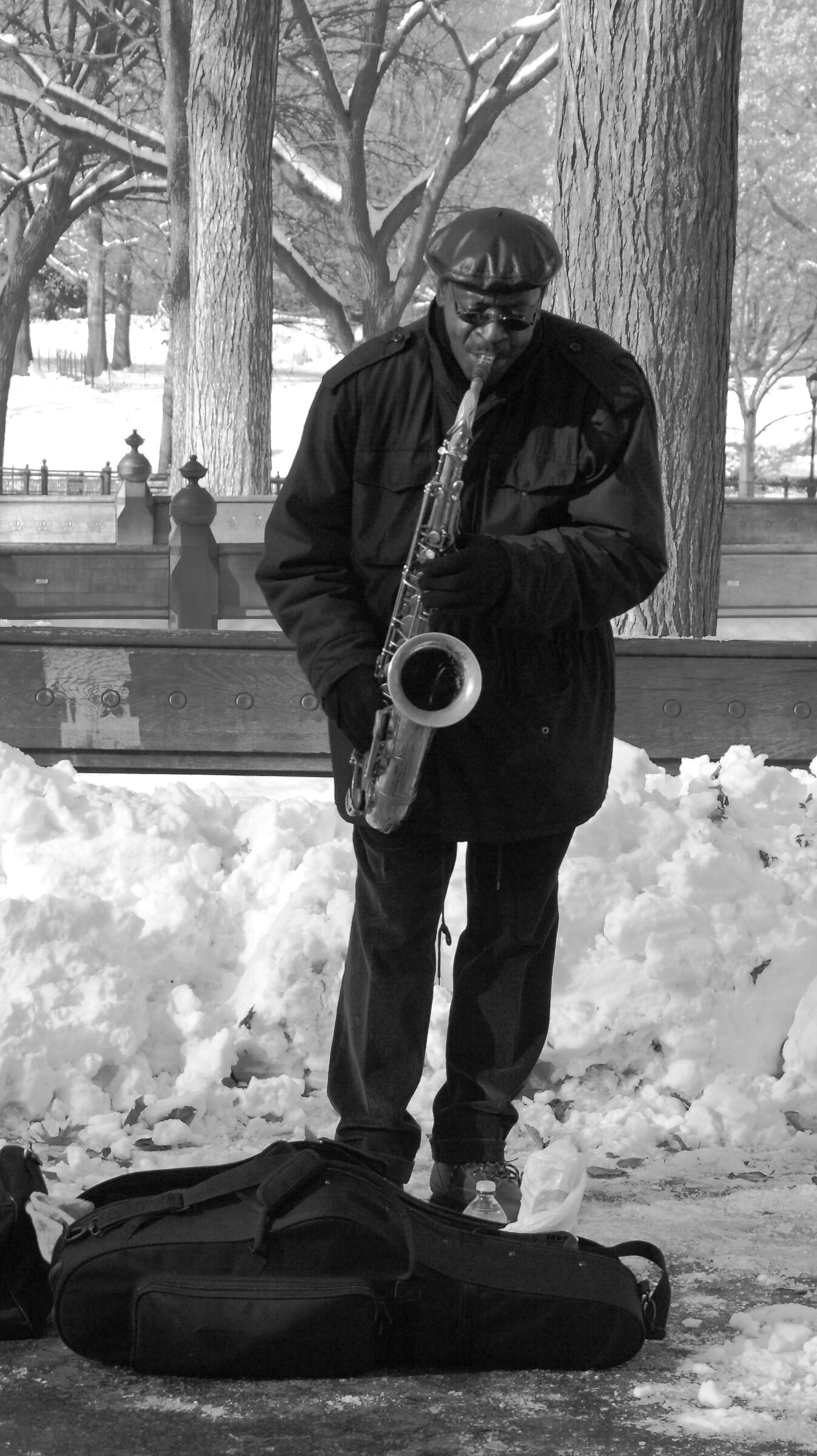Music in Central Park