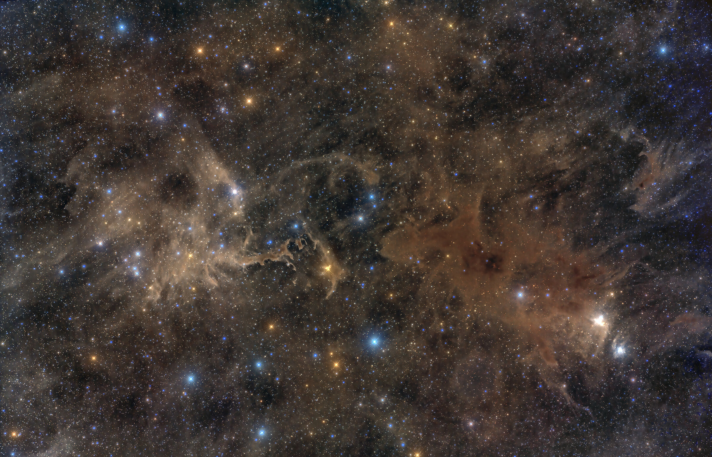 Draghi che lottano - LDN 552