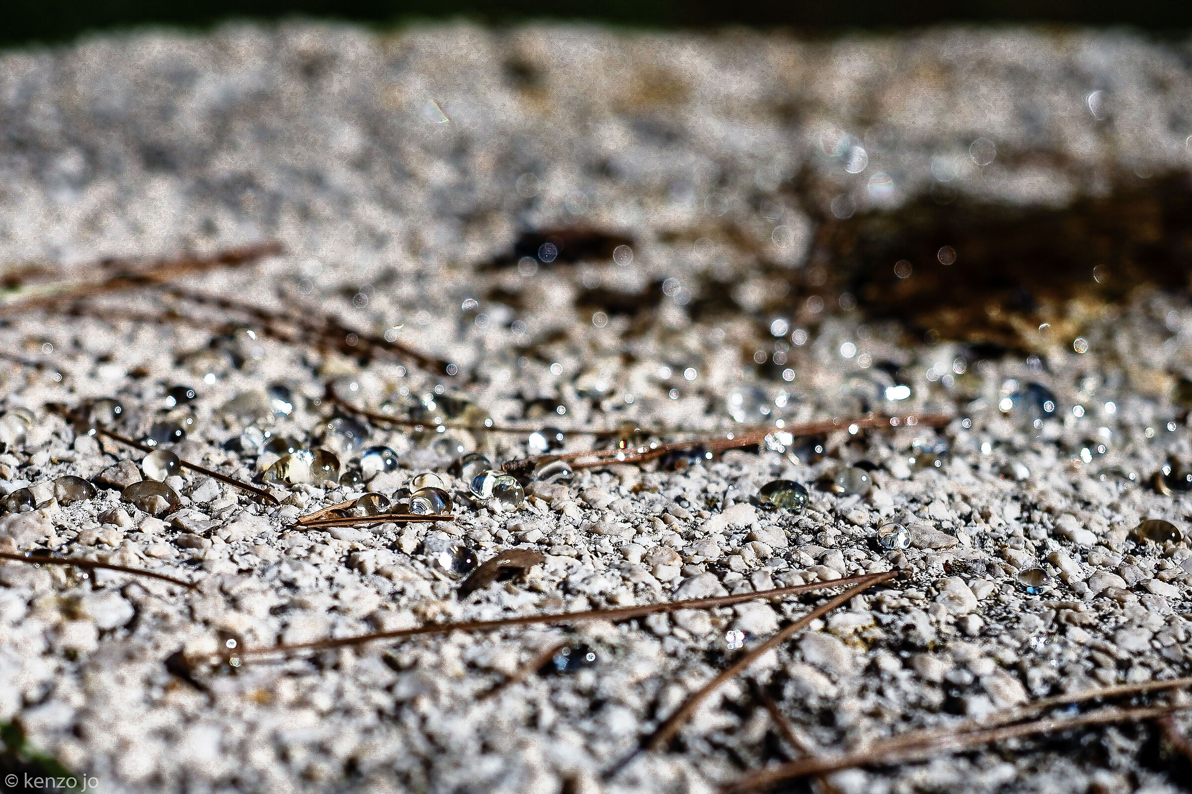 Da Madre Natura gocce di memoria