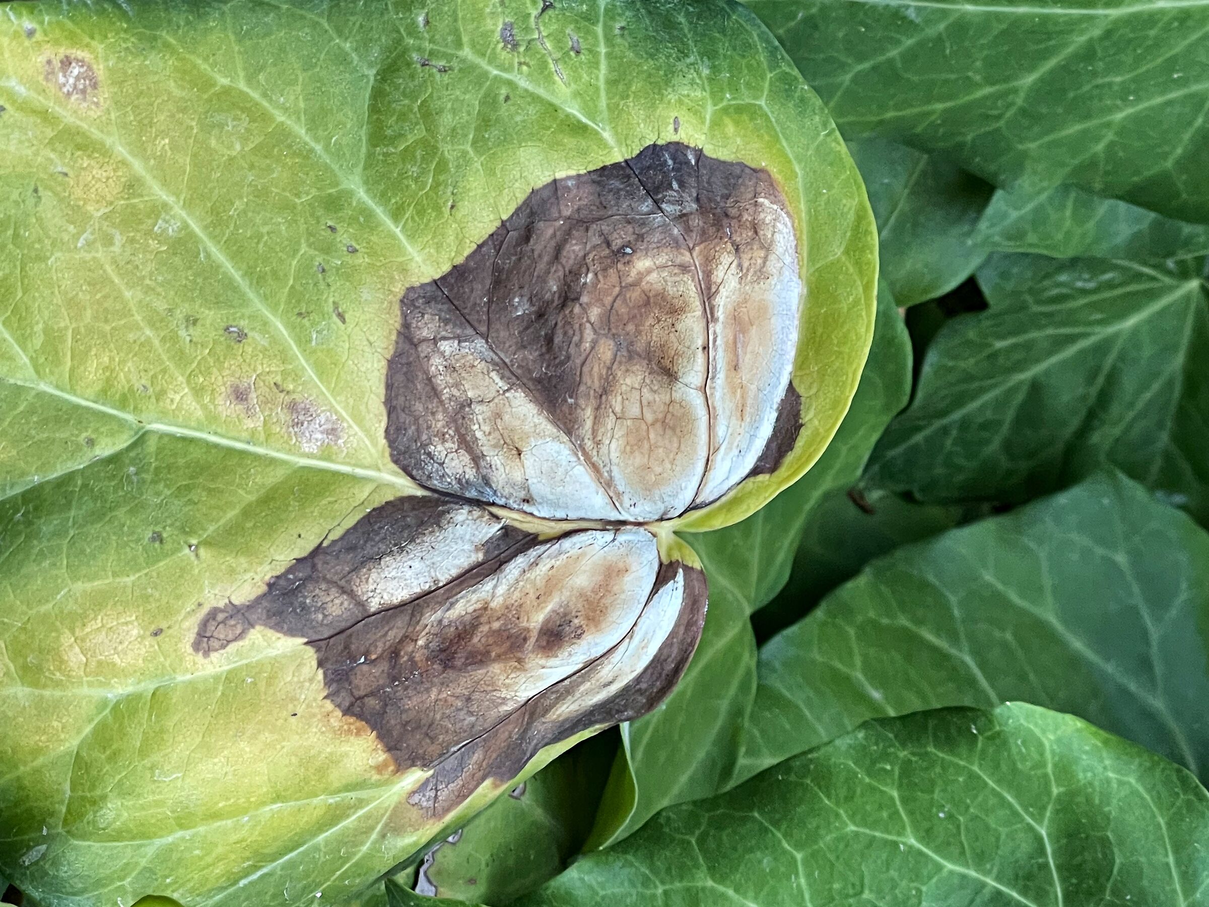 The colors of the seasons