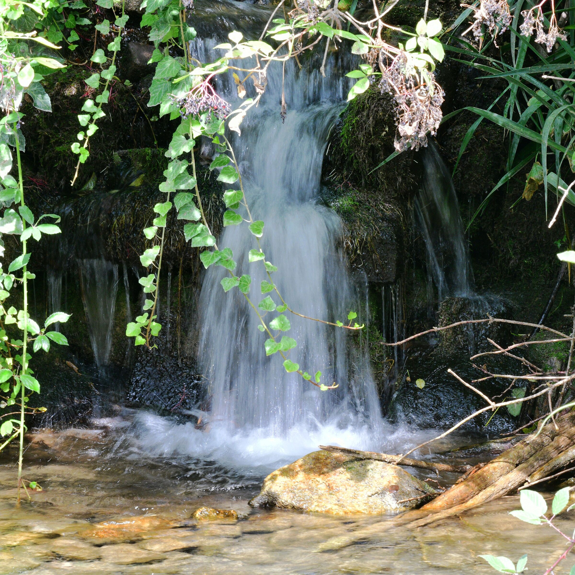 Apprezzare la natura e ciò che la circonda