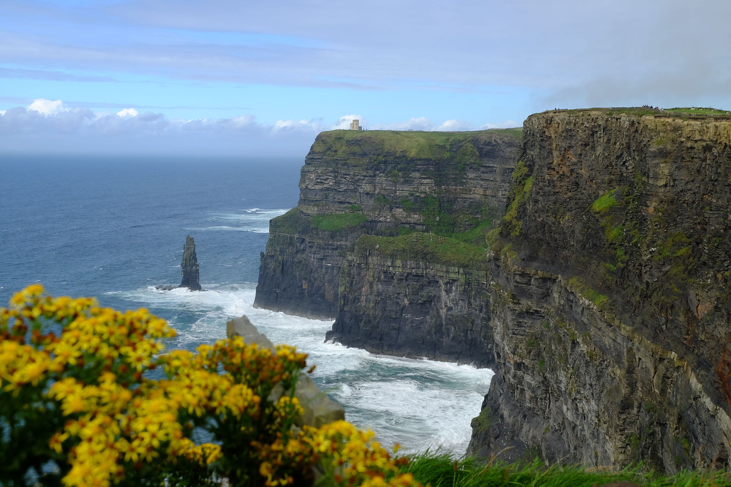Cliffs and Flowers pt.1