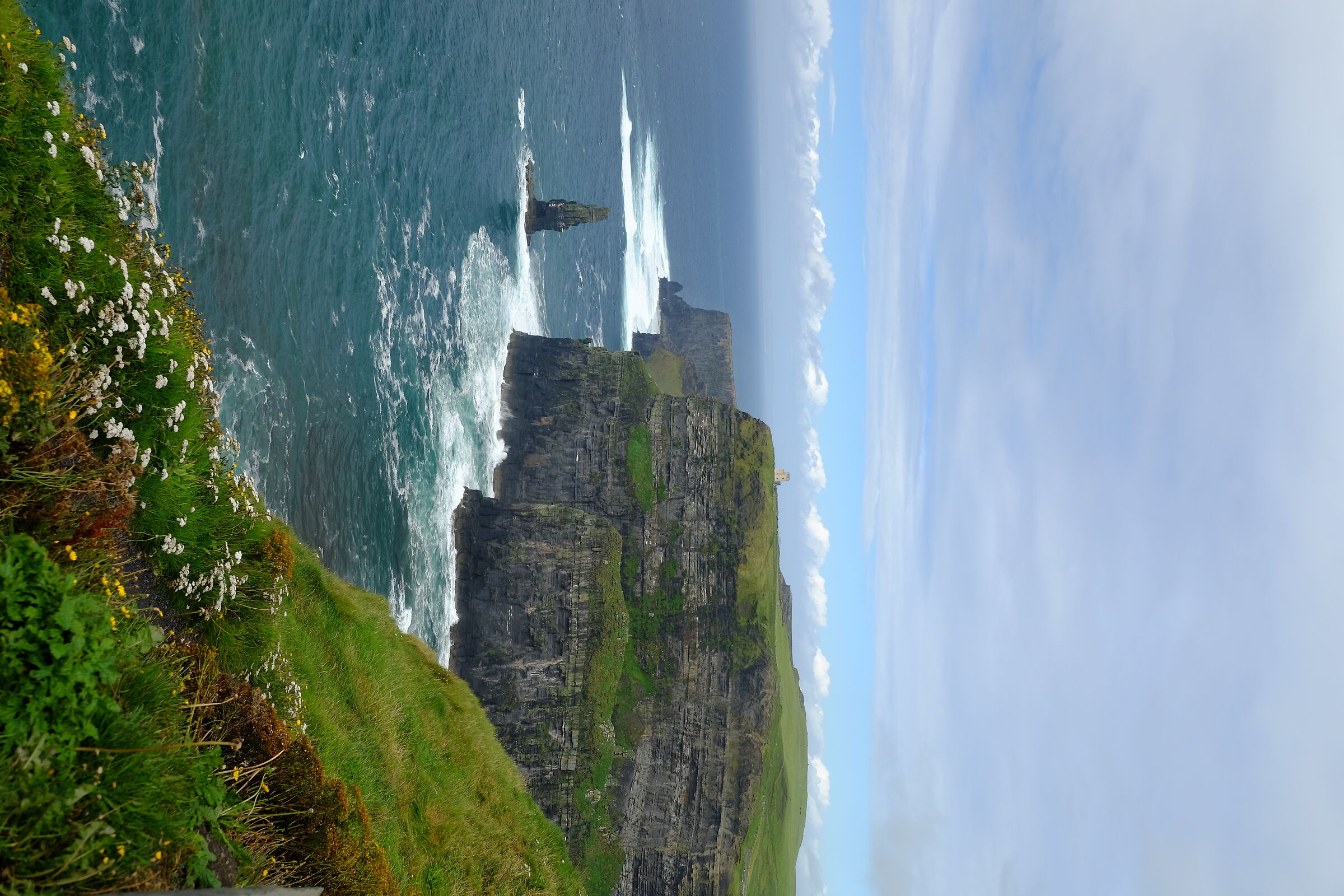 Cliffs and Flowers pt.2