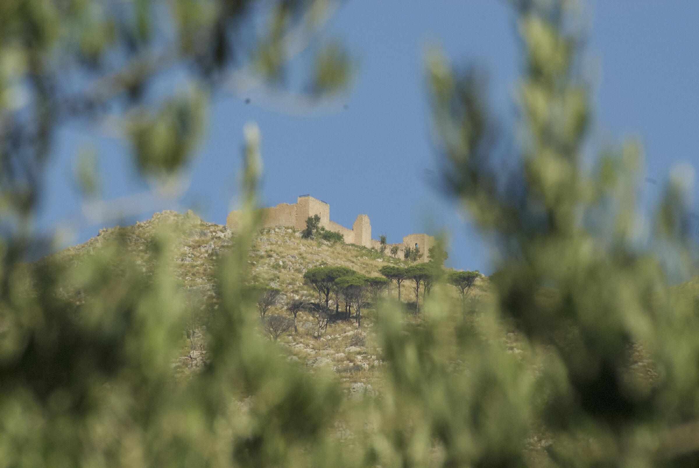 CASTELLACCIO - MONREALE (PA) - ITALY