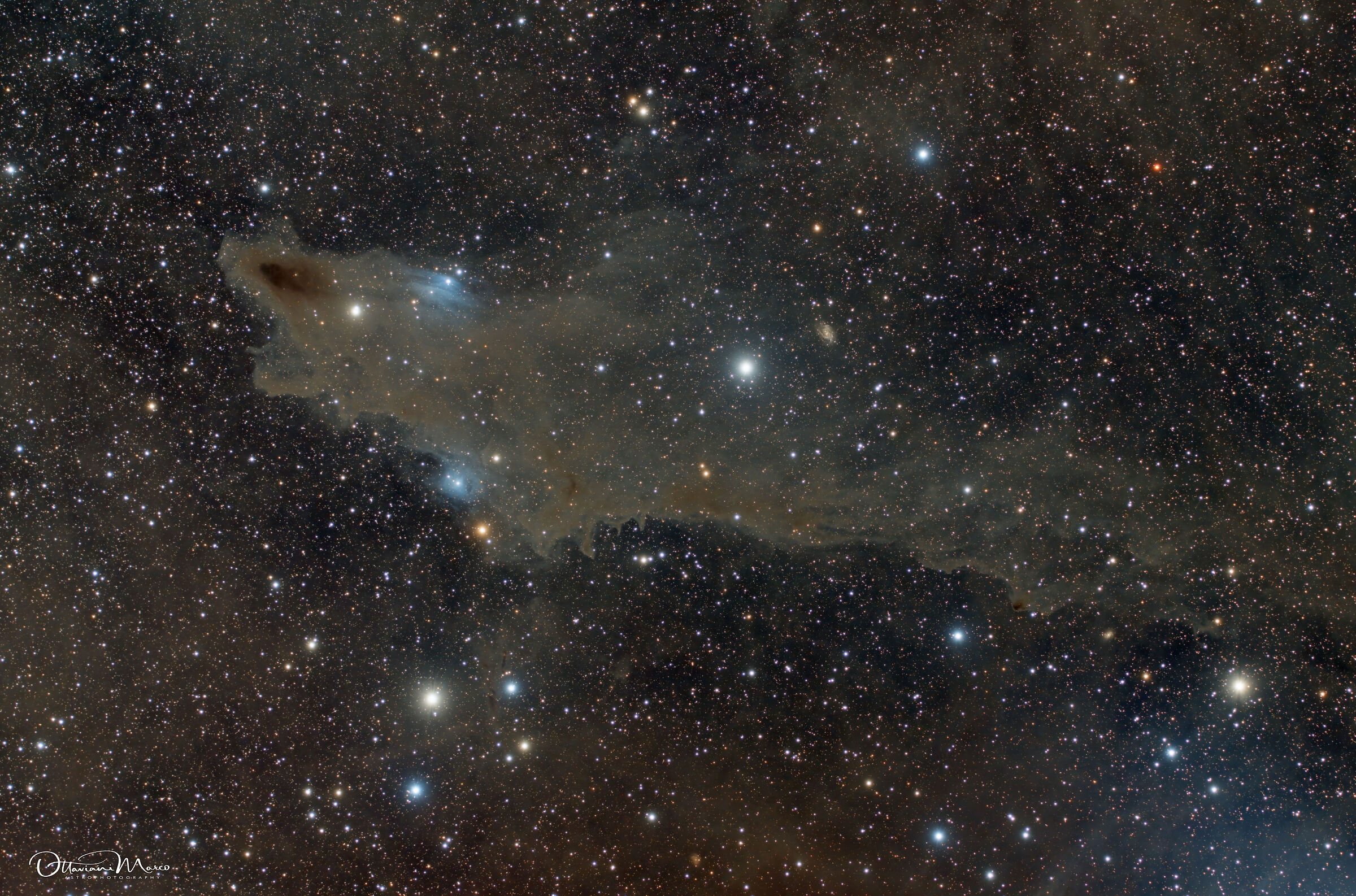 ldn1235 dark nebula (shark)