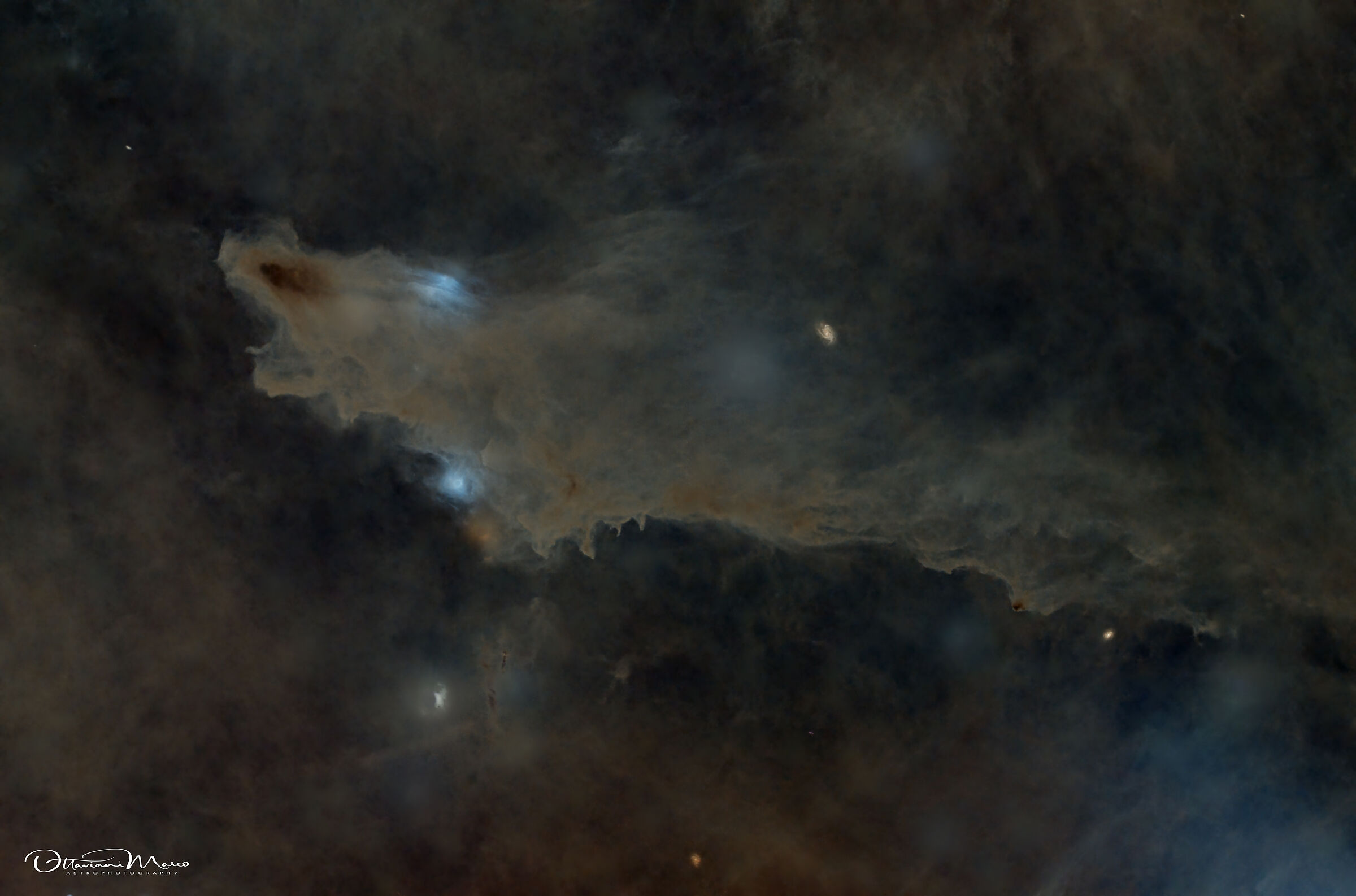 ldn1235 dark nebula (shark) starless version