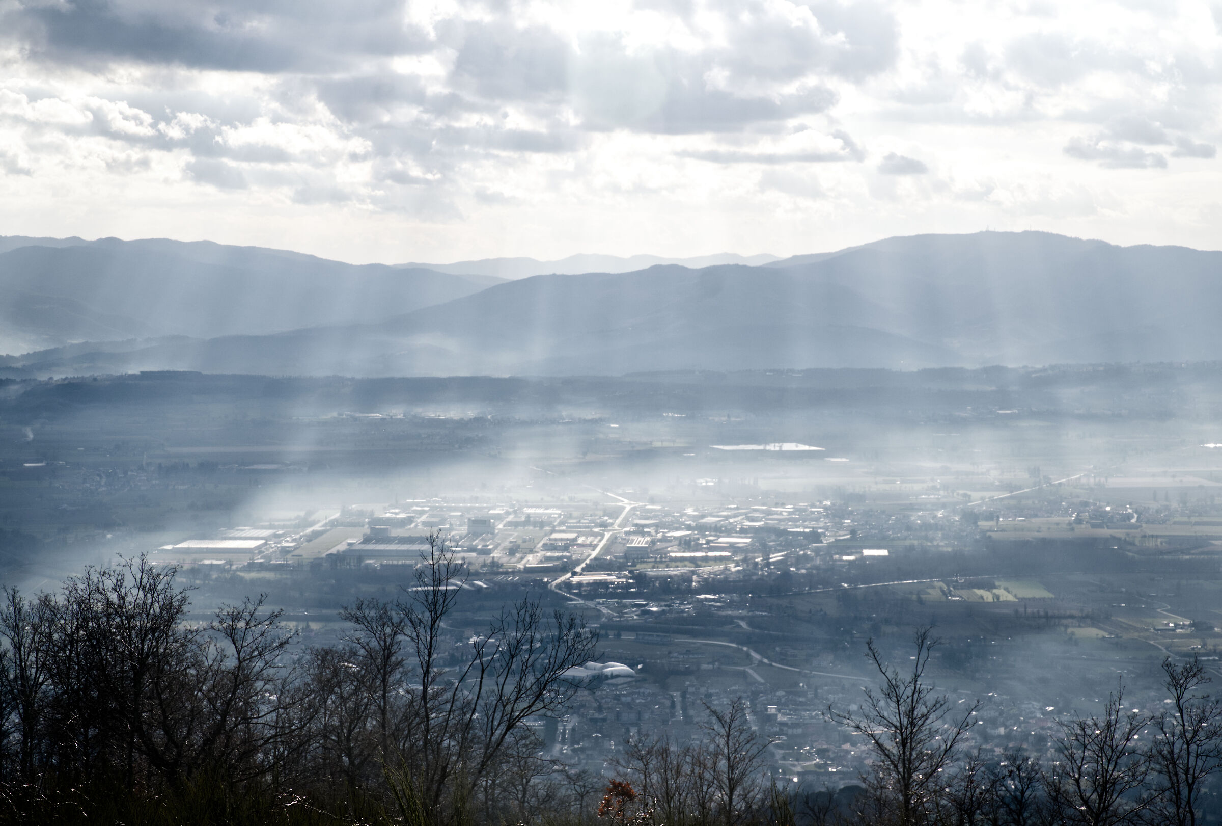 Montevicchi