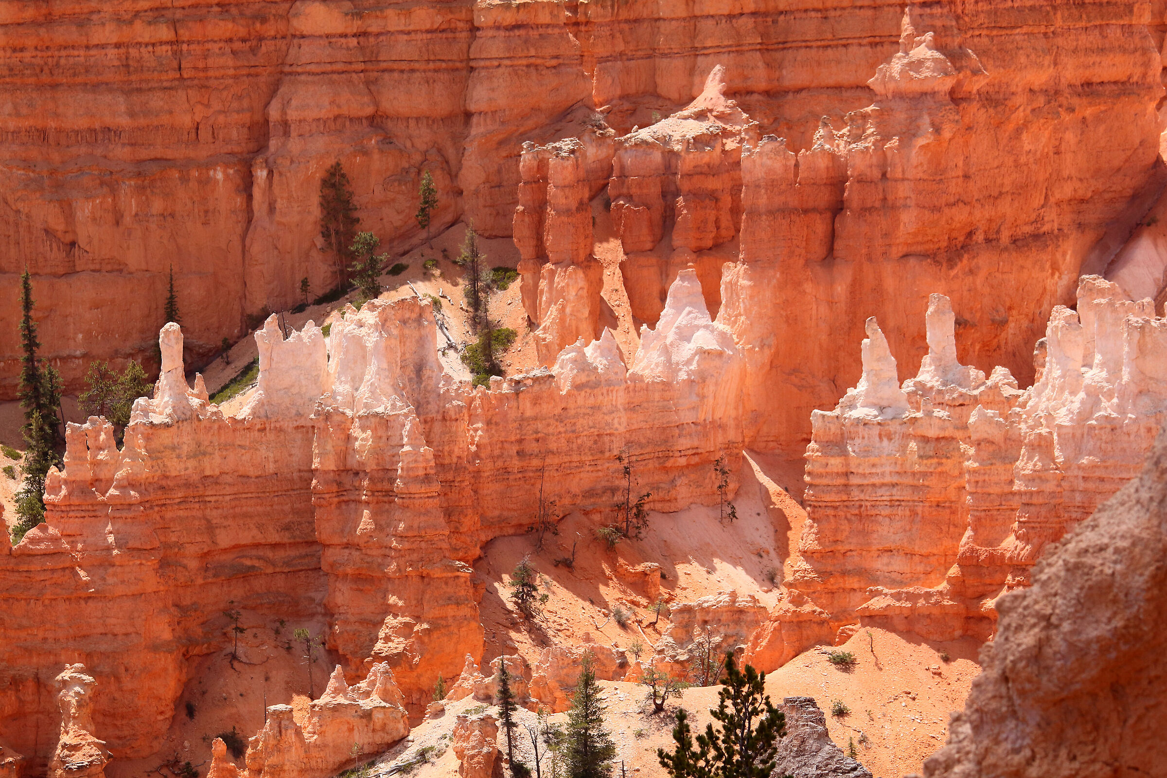 magic in Bryce Canyon