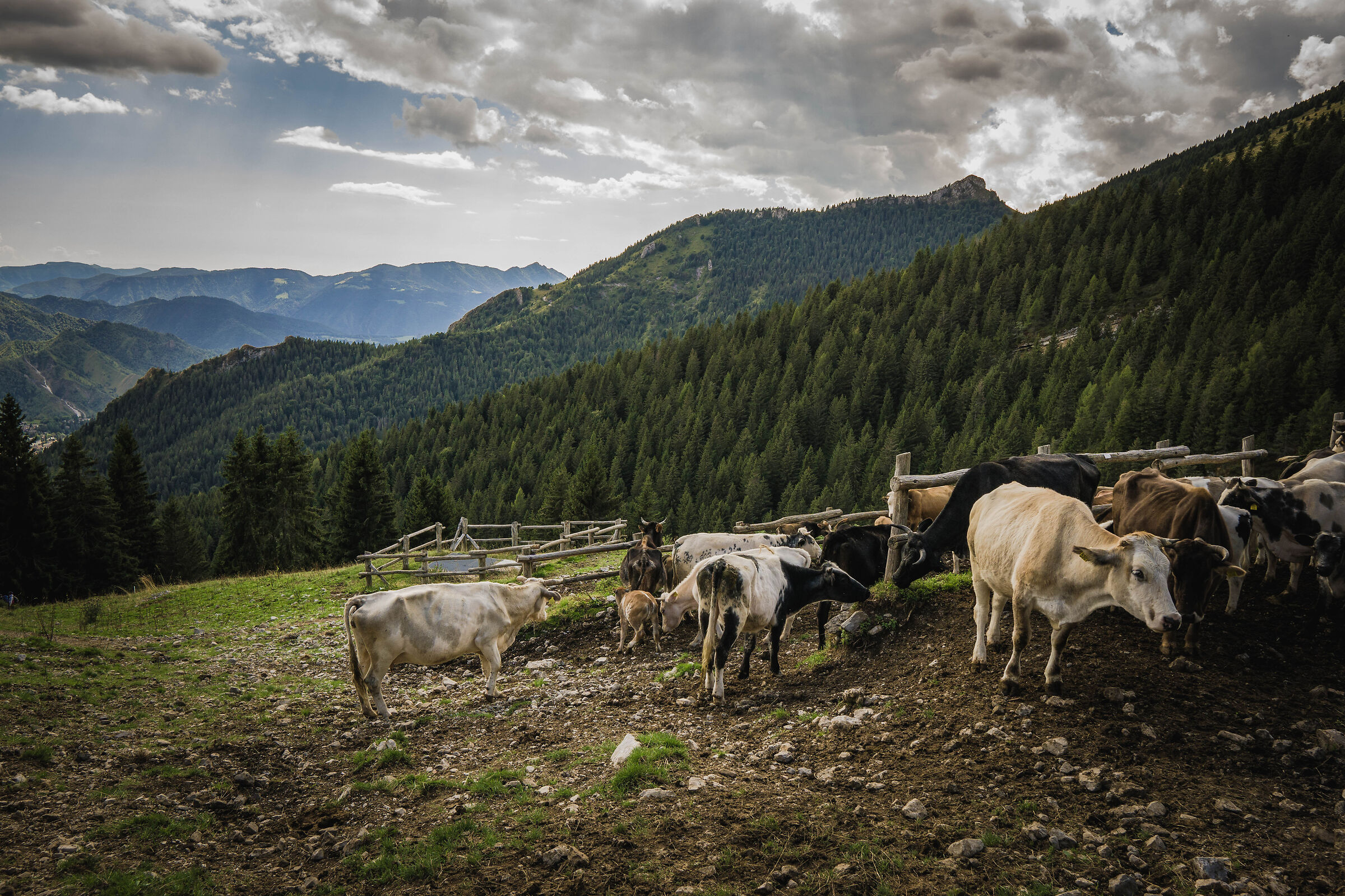 Hut Cassinelli,Castione della Presolana(BG)