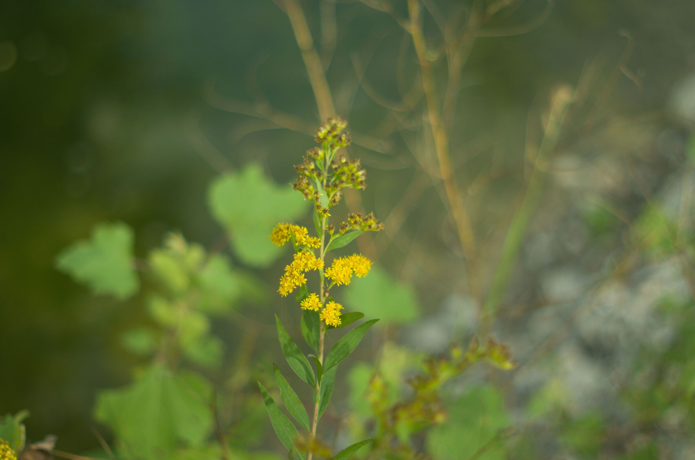 Impressions of September