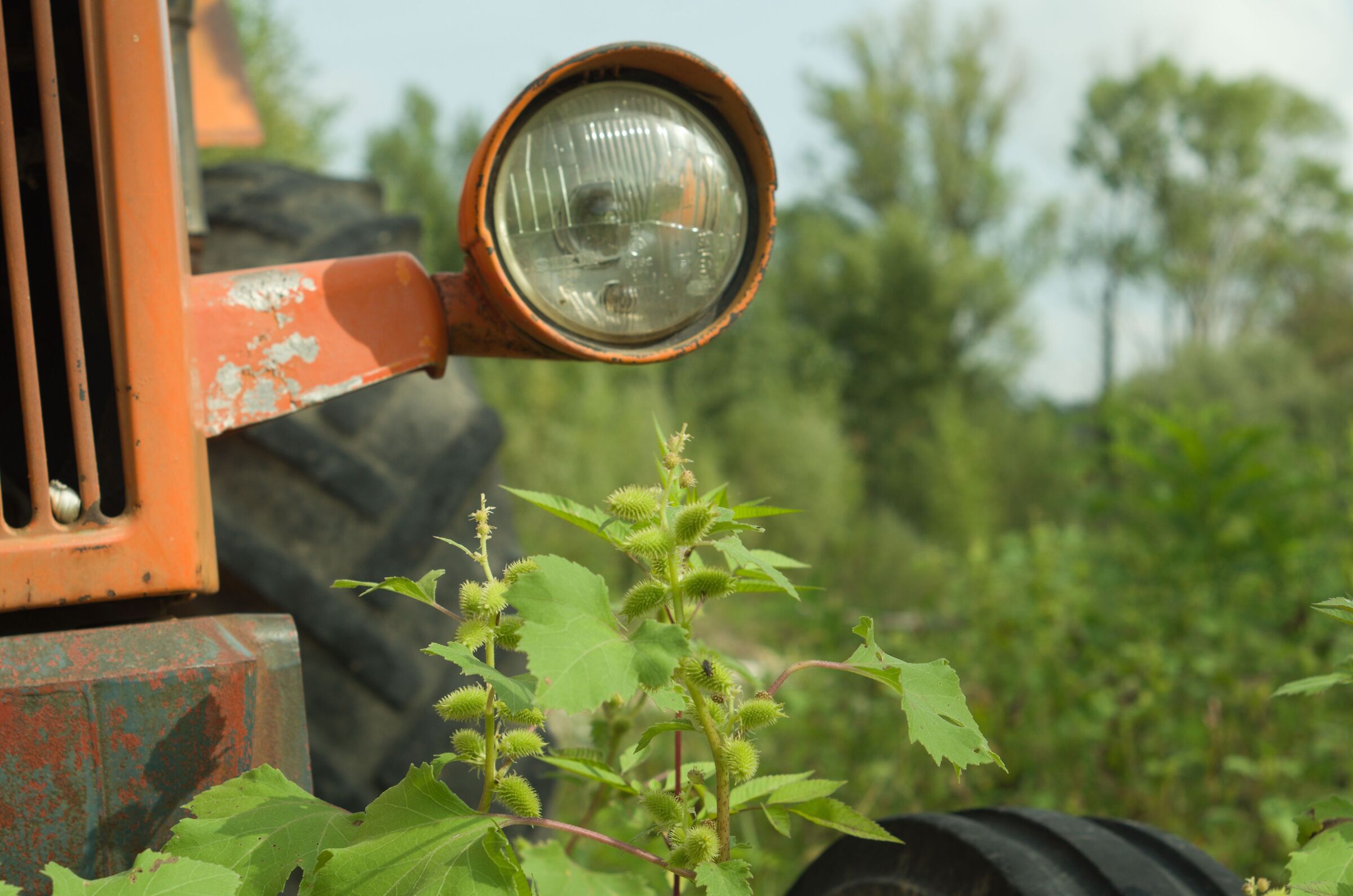 Tra la via Emilia e il West