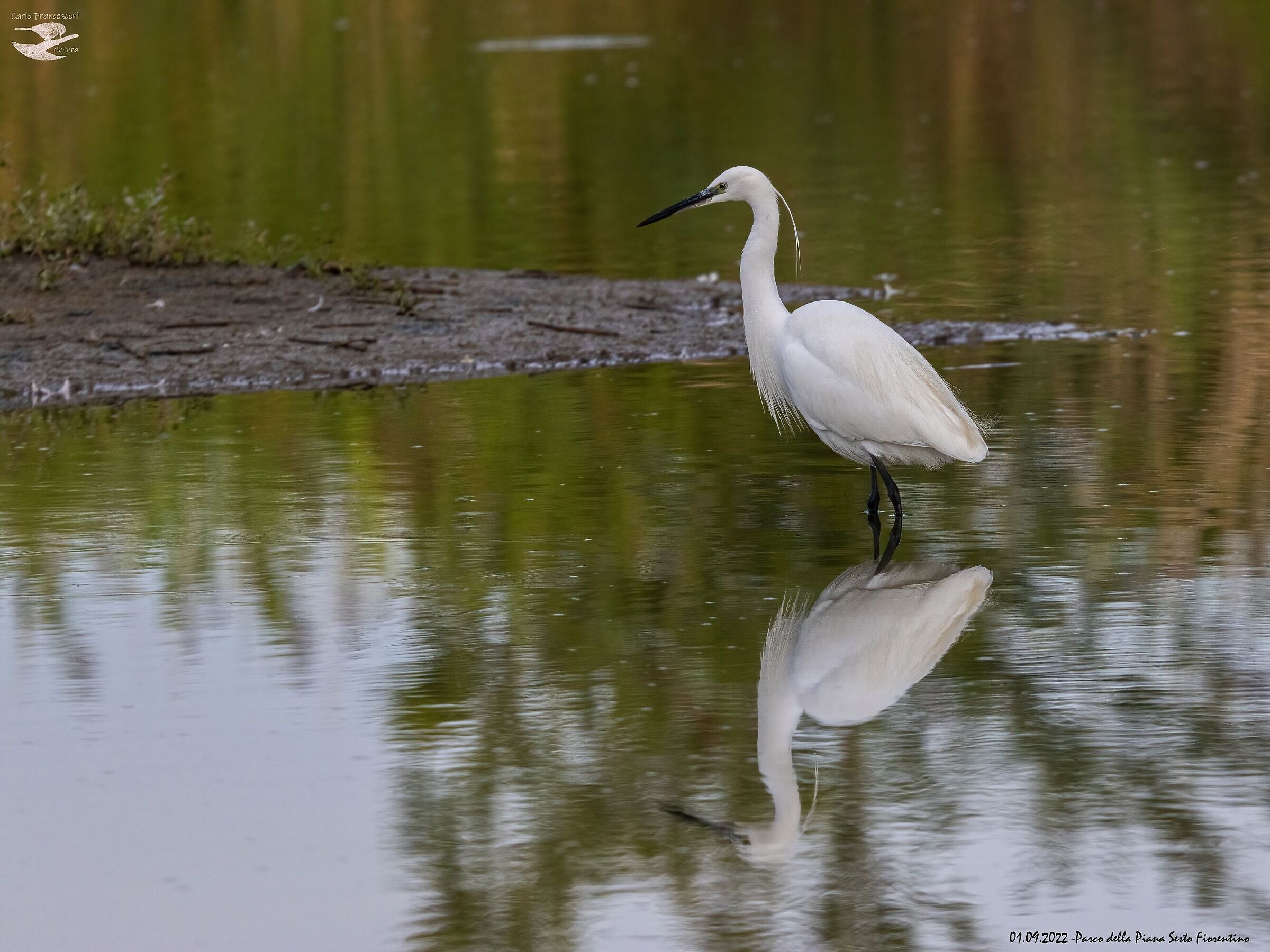 Riflesso e' per sempre