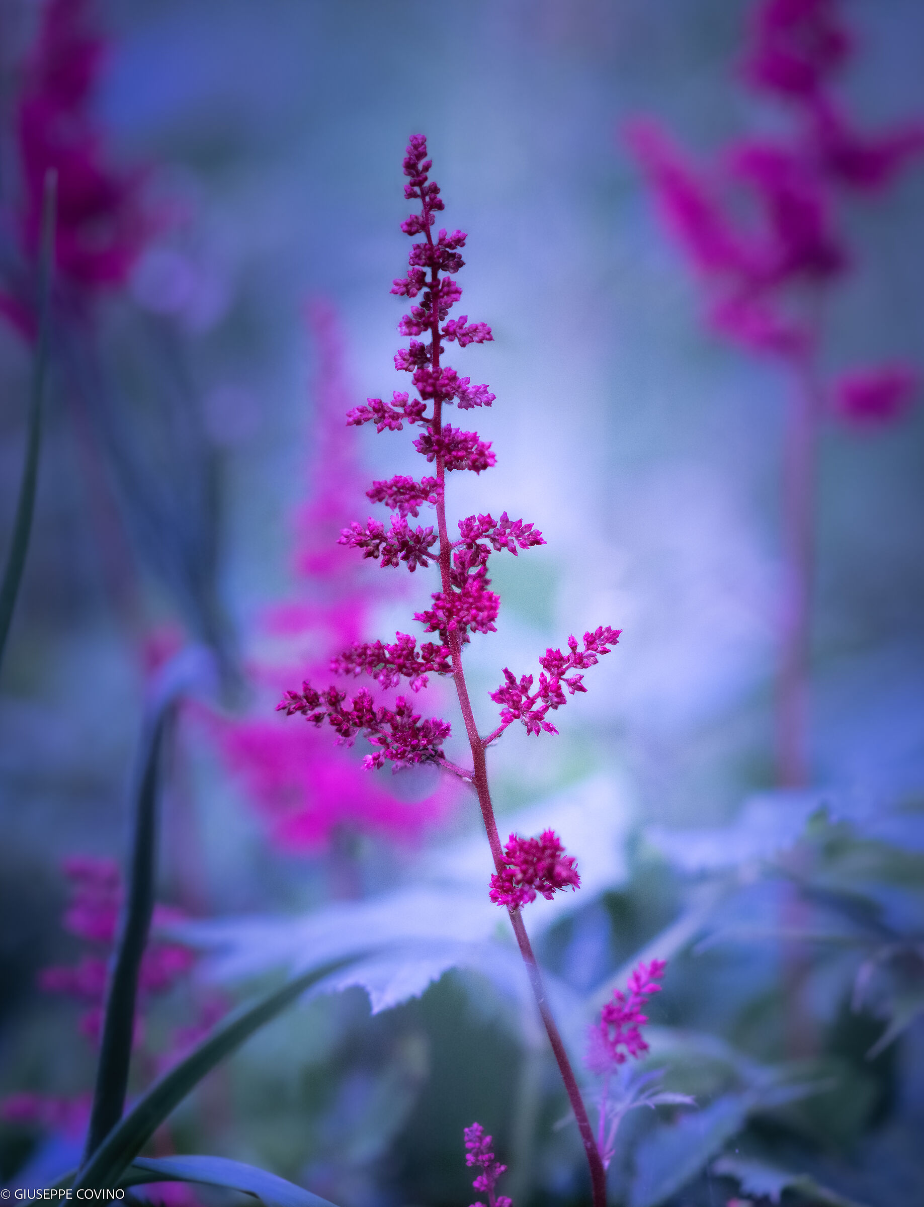 Un pò di colori