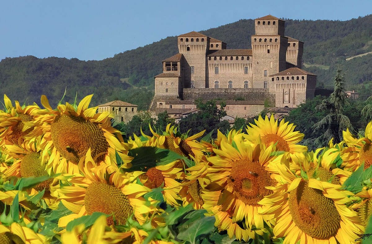 Summer in Torrechiara (PR)