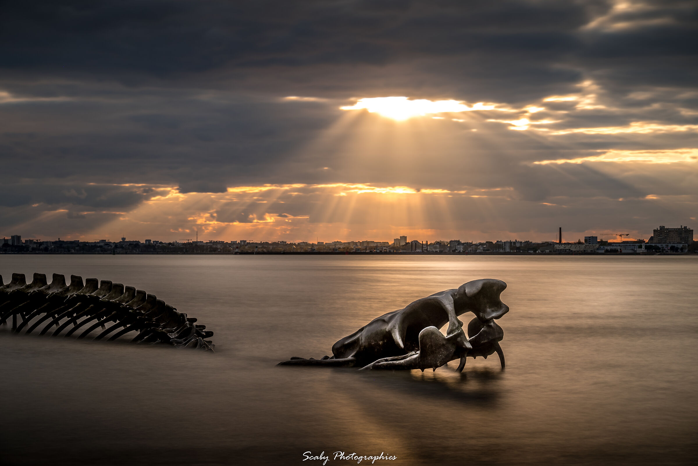 Il serpente - St Brévin les pins