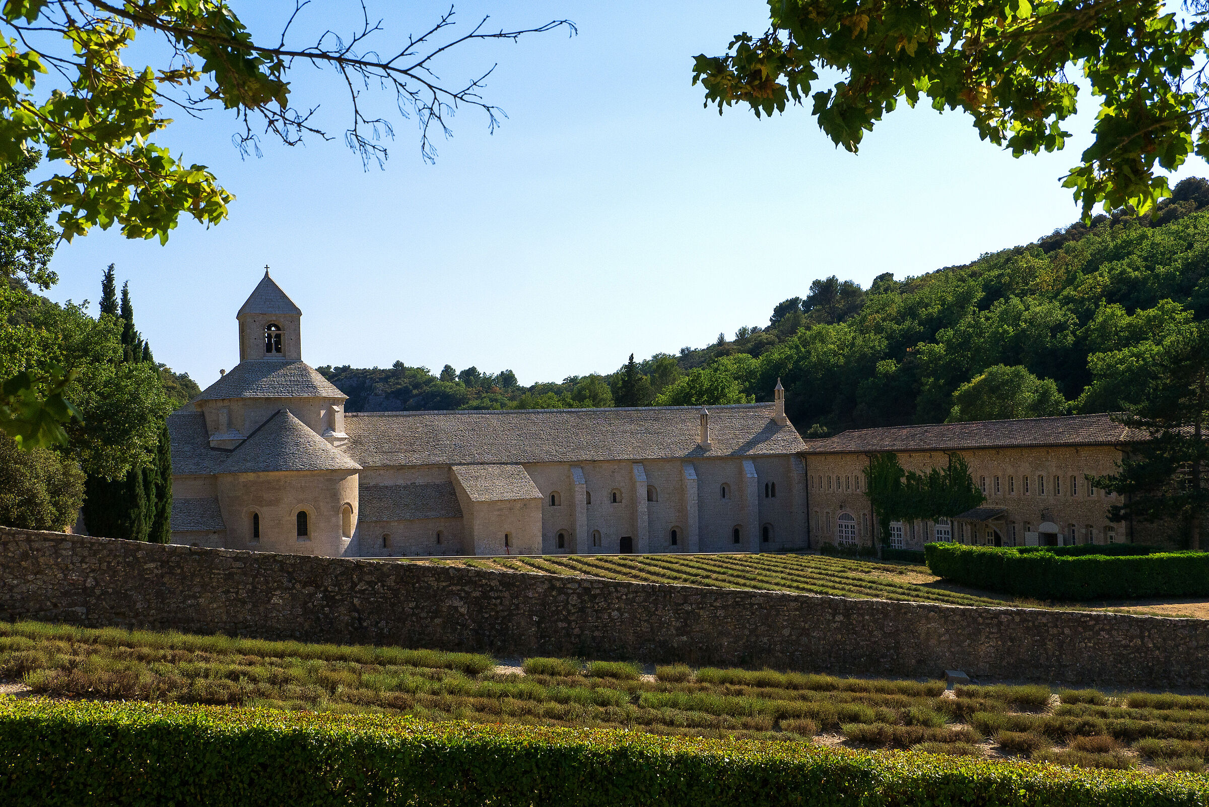 Notre-Dame de Sénanque