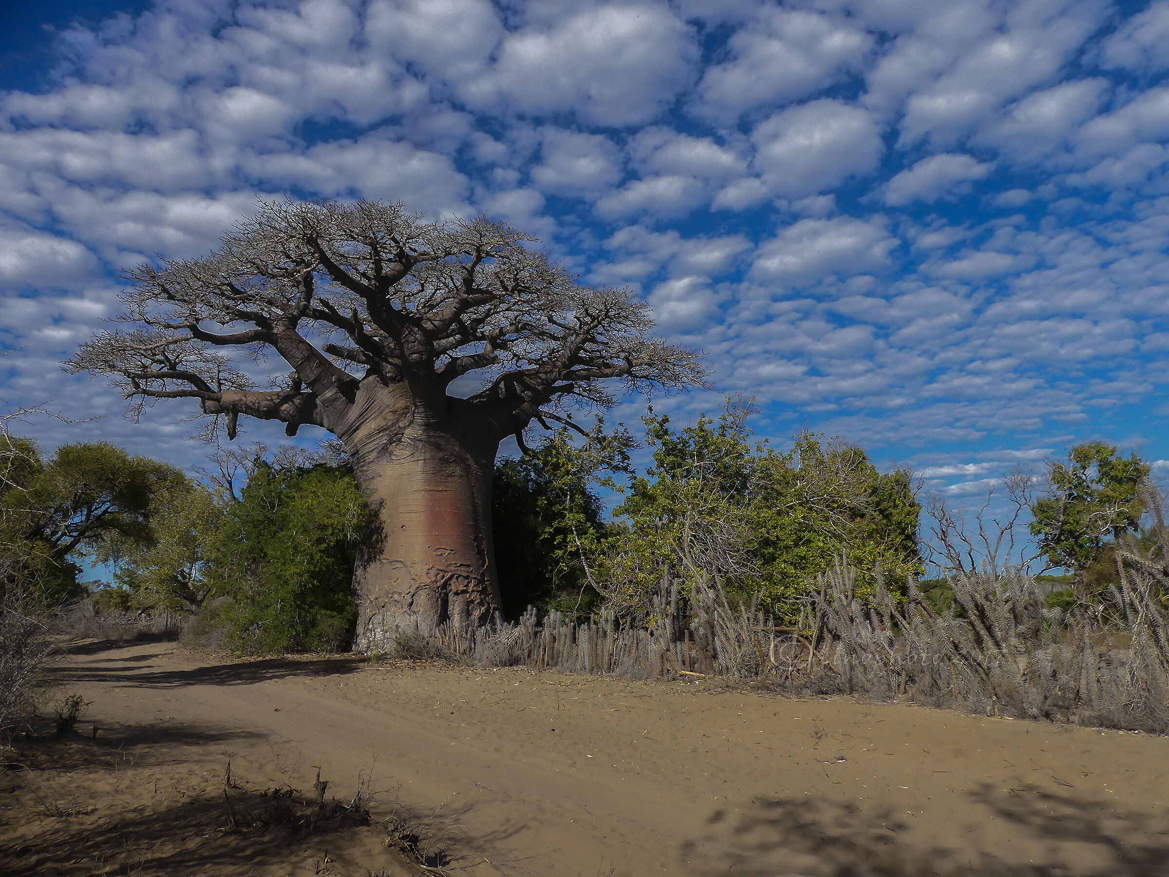 Along the internal slopes of Madagascar in 4x4