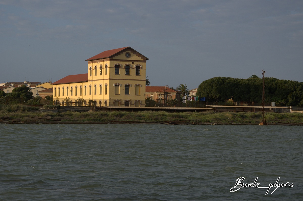 Molentargius - Cagliari    (Le saline)