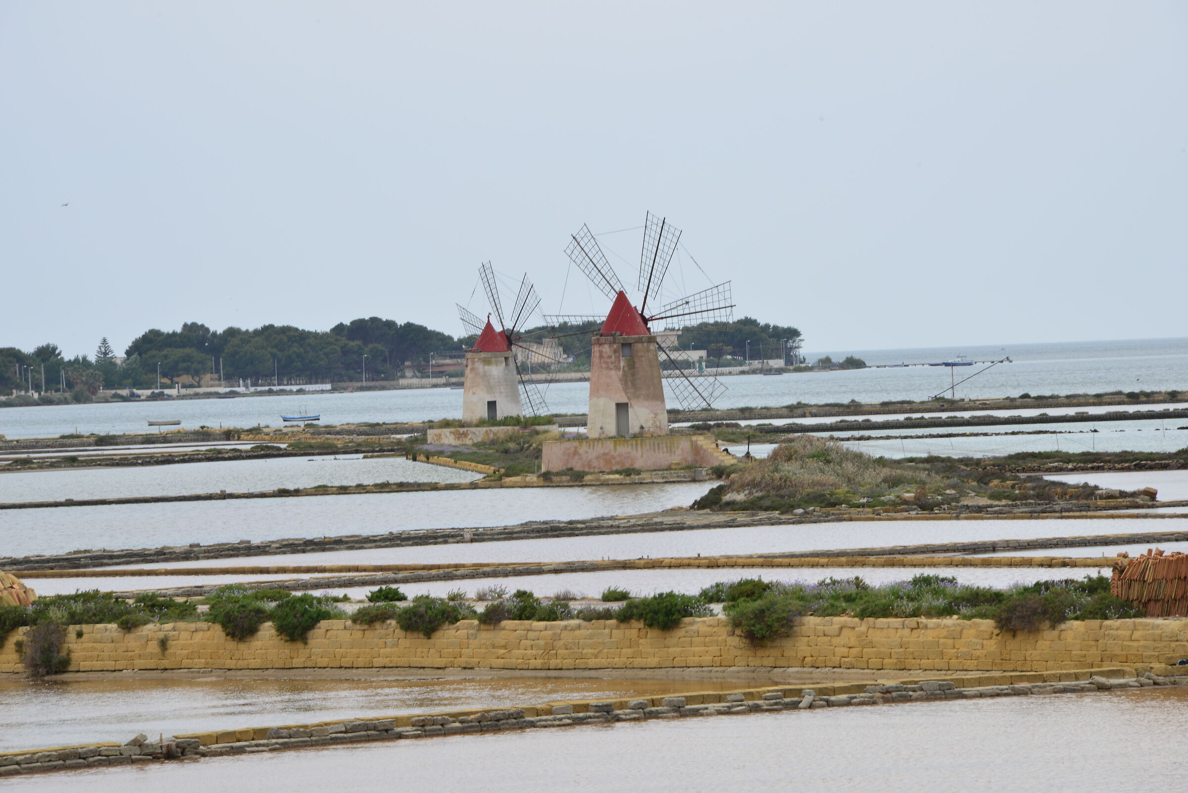 Saline