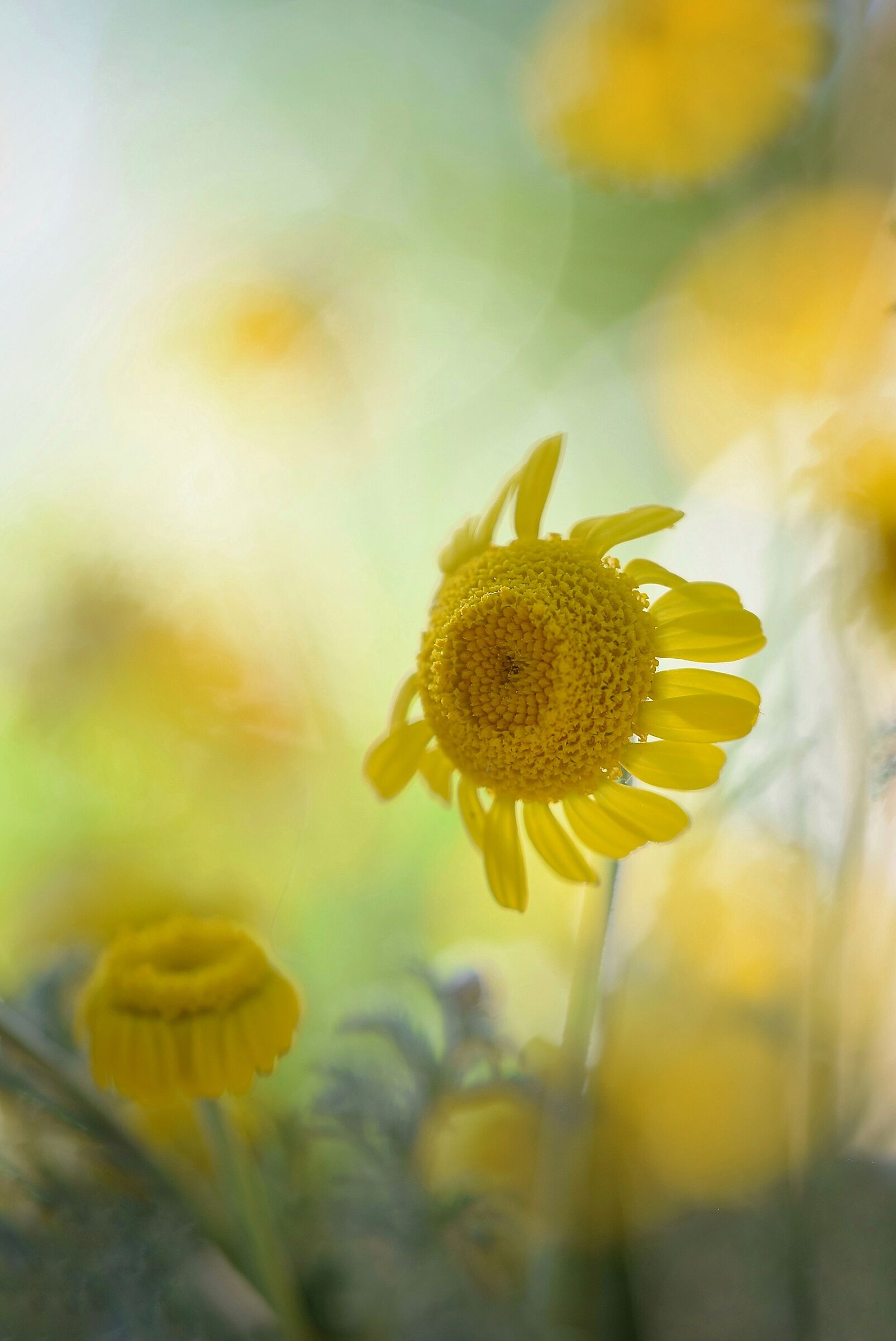 Untitled Photo