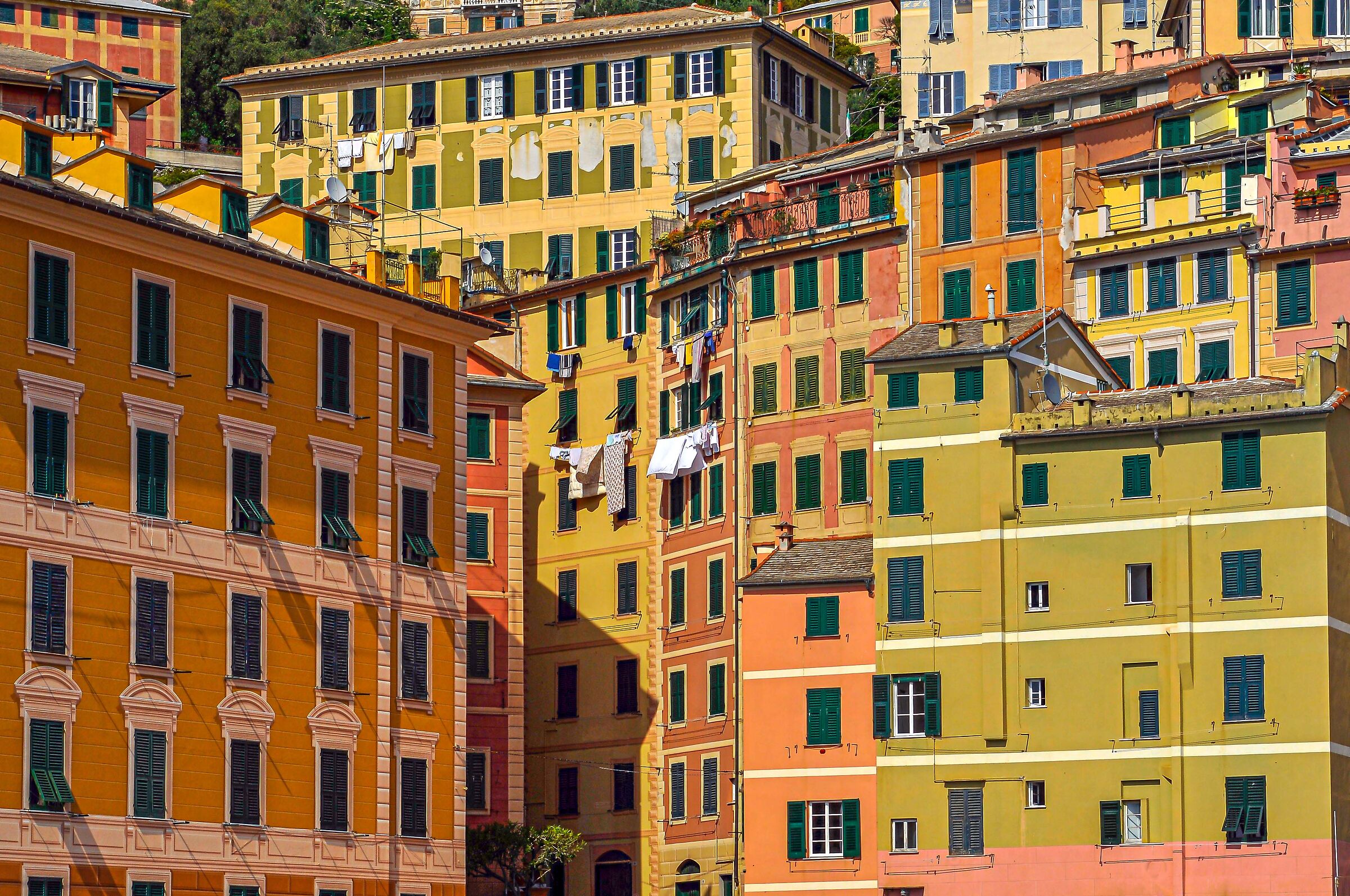 camogli 5