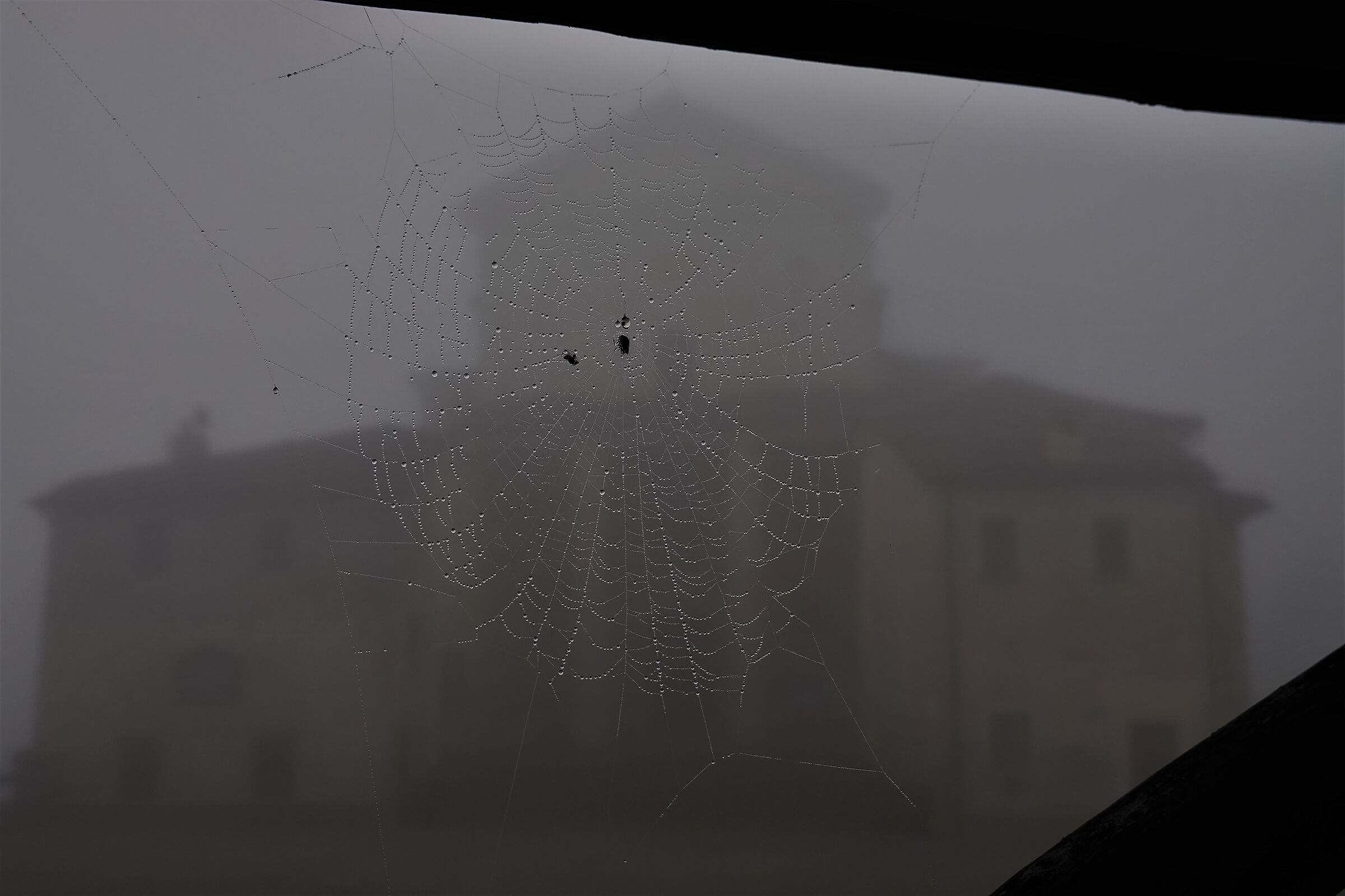 the sanctuary in the fog....