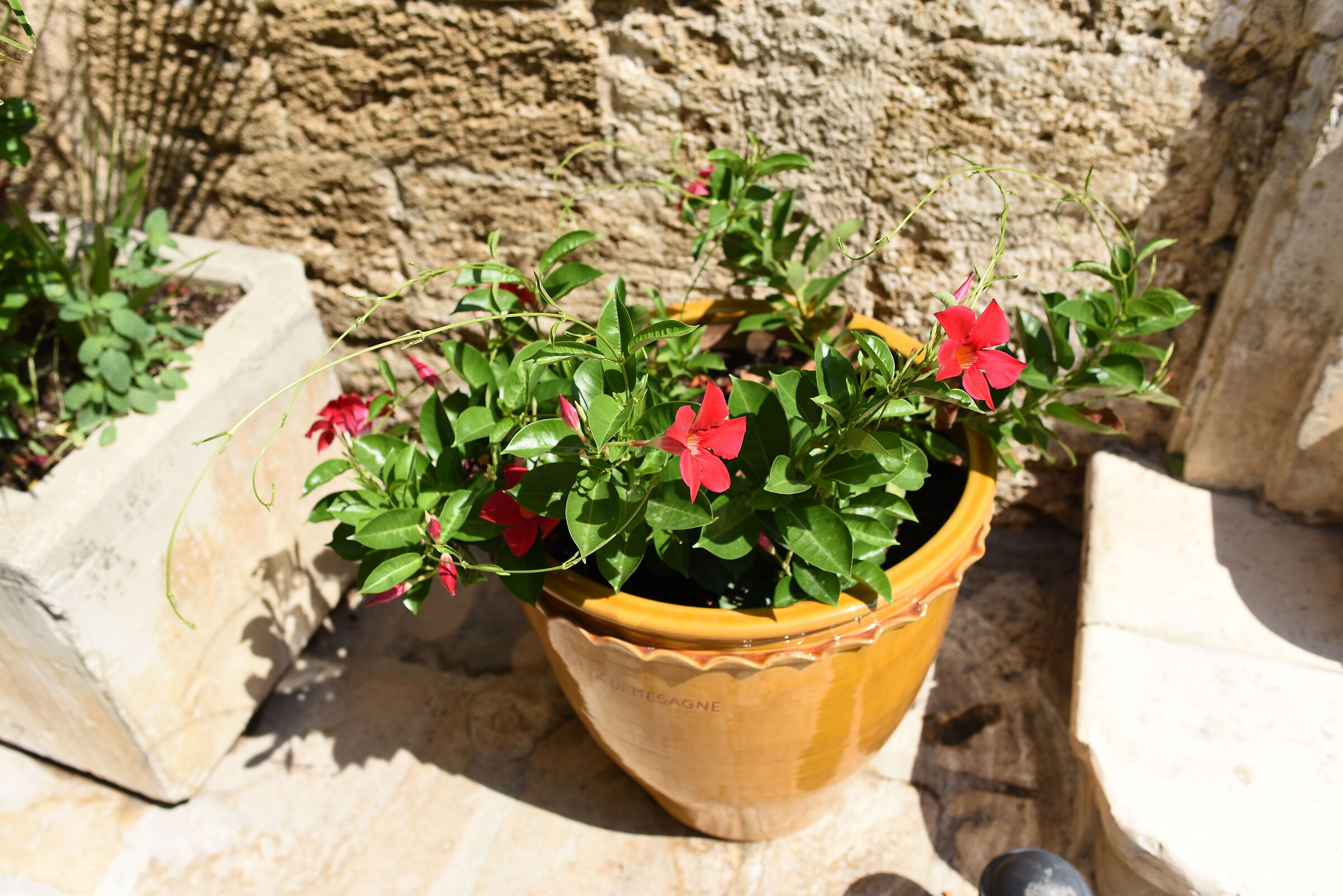 " 1/ 4.0 0 0 ", F. 4, ISO 500- Nikon 28, 1.4 E ED