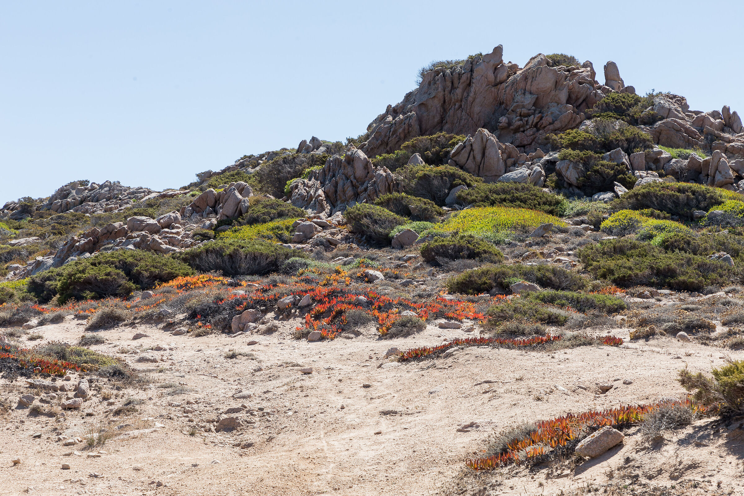 Bonifacio, la Tonnara