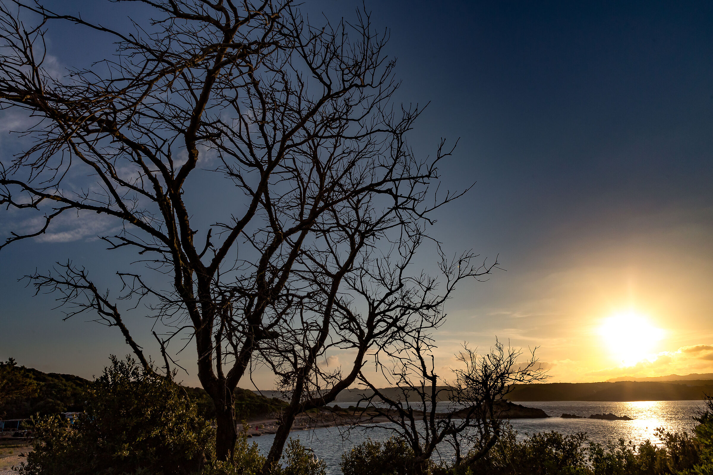 Bonifacio, Santa Amanza