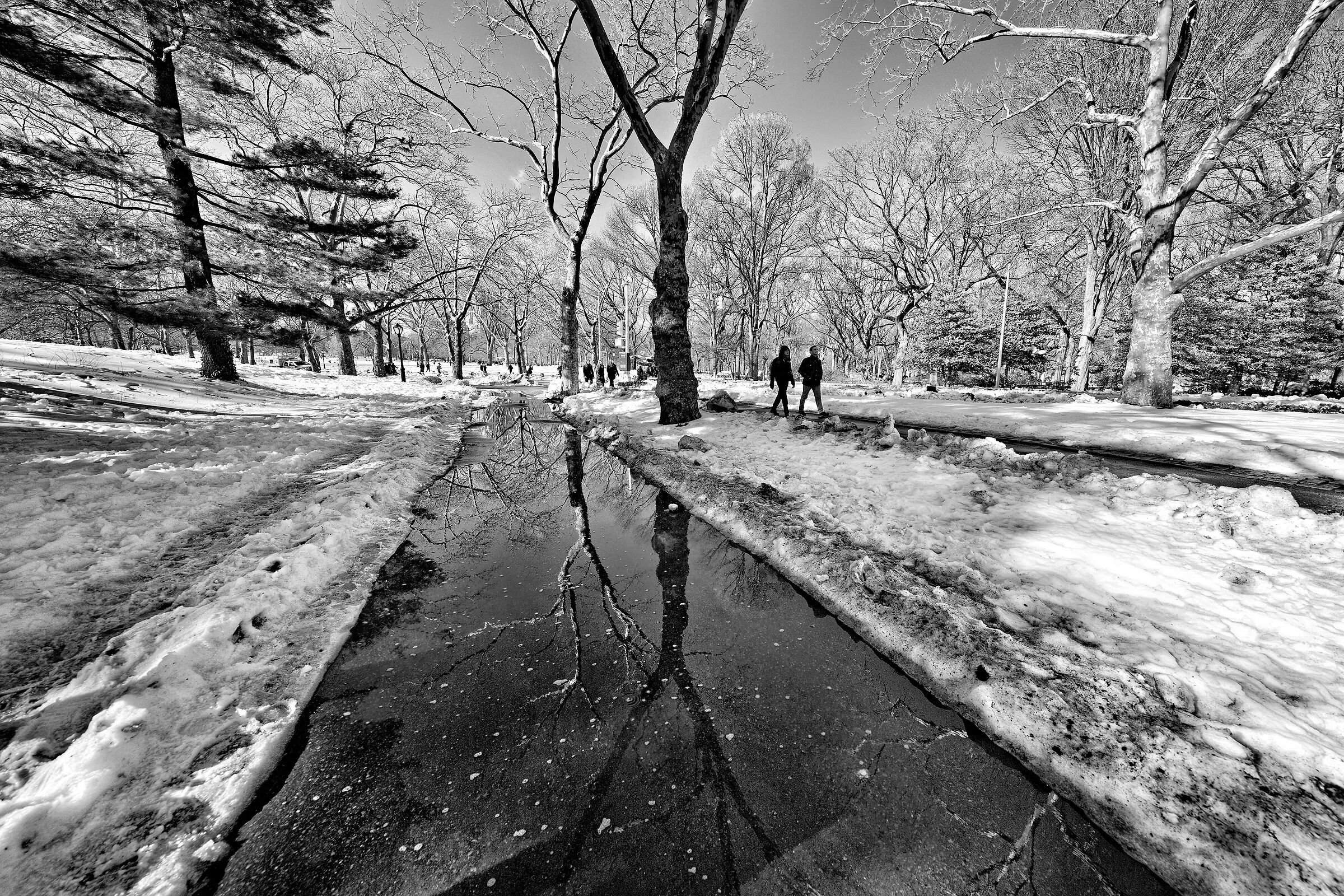 Central Park