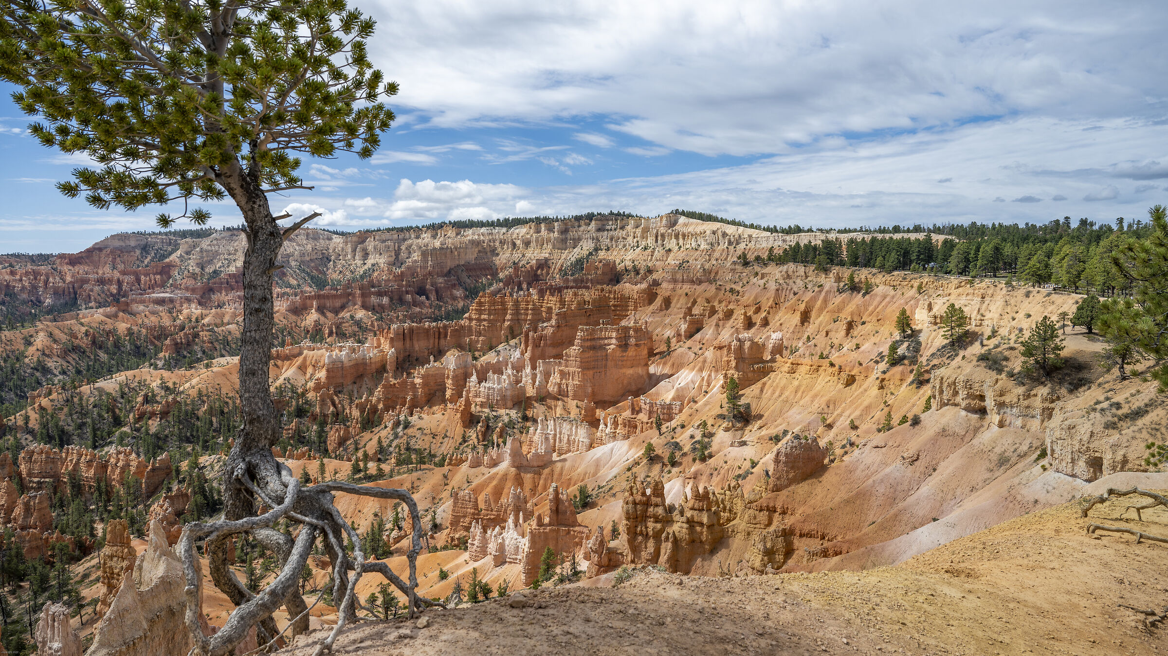 Bryce Canyon