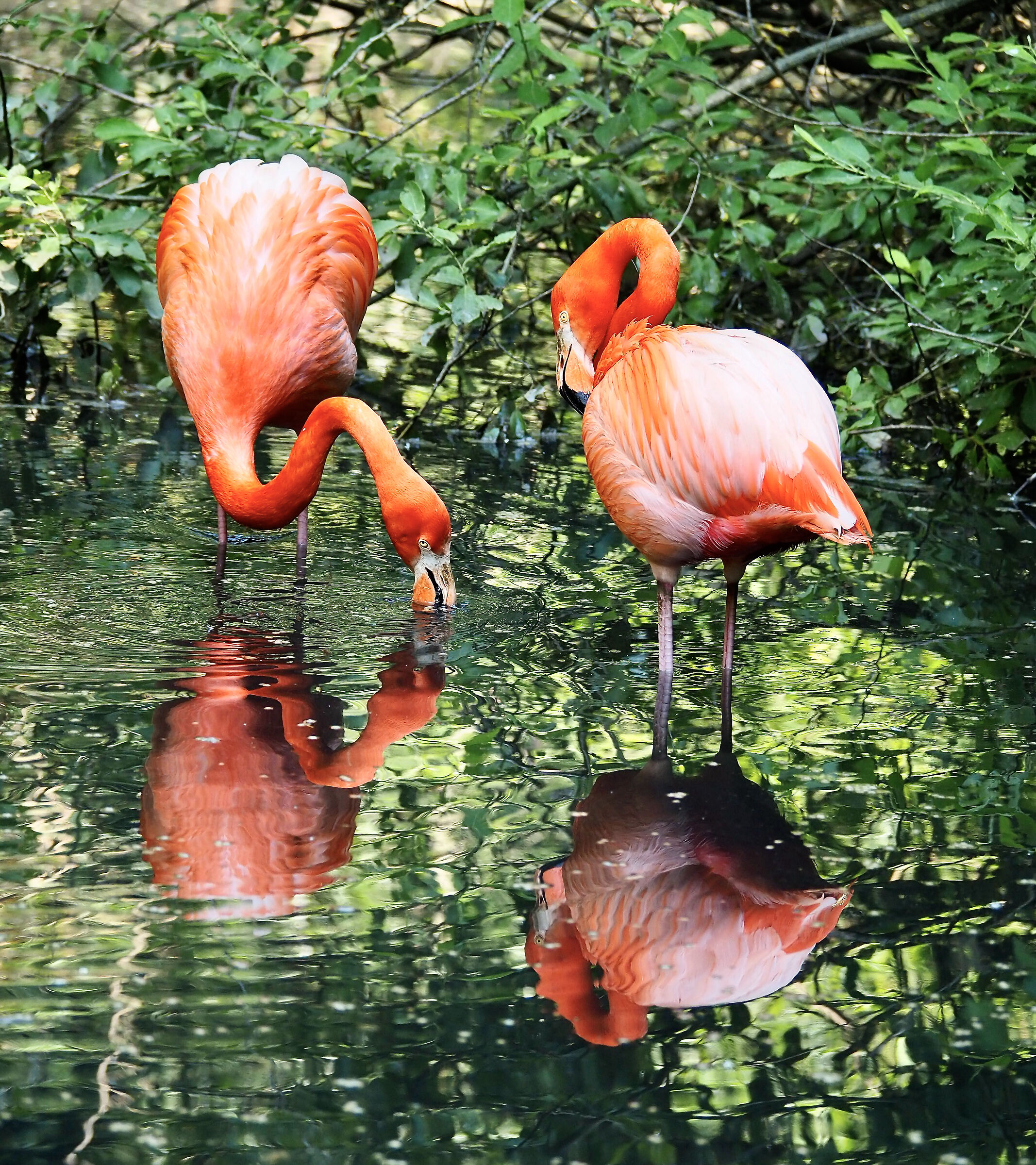 Guardiamoci allo specchio