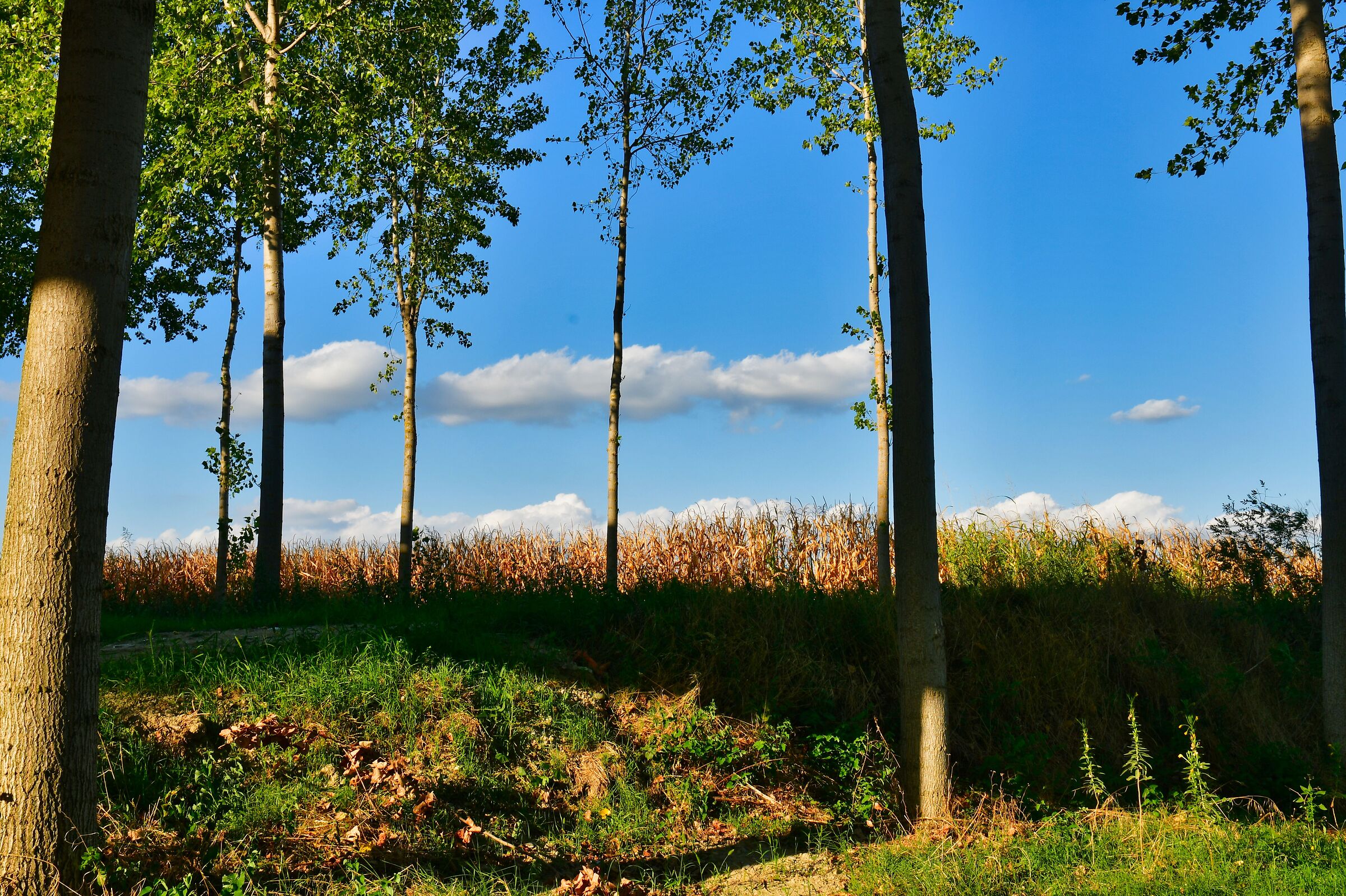 borgonovo val tidone