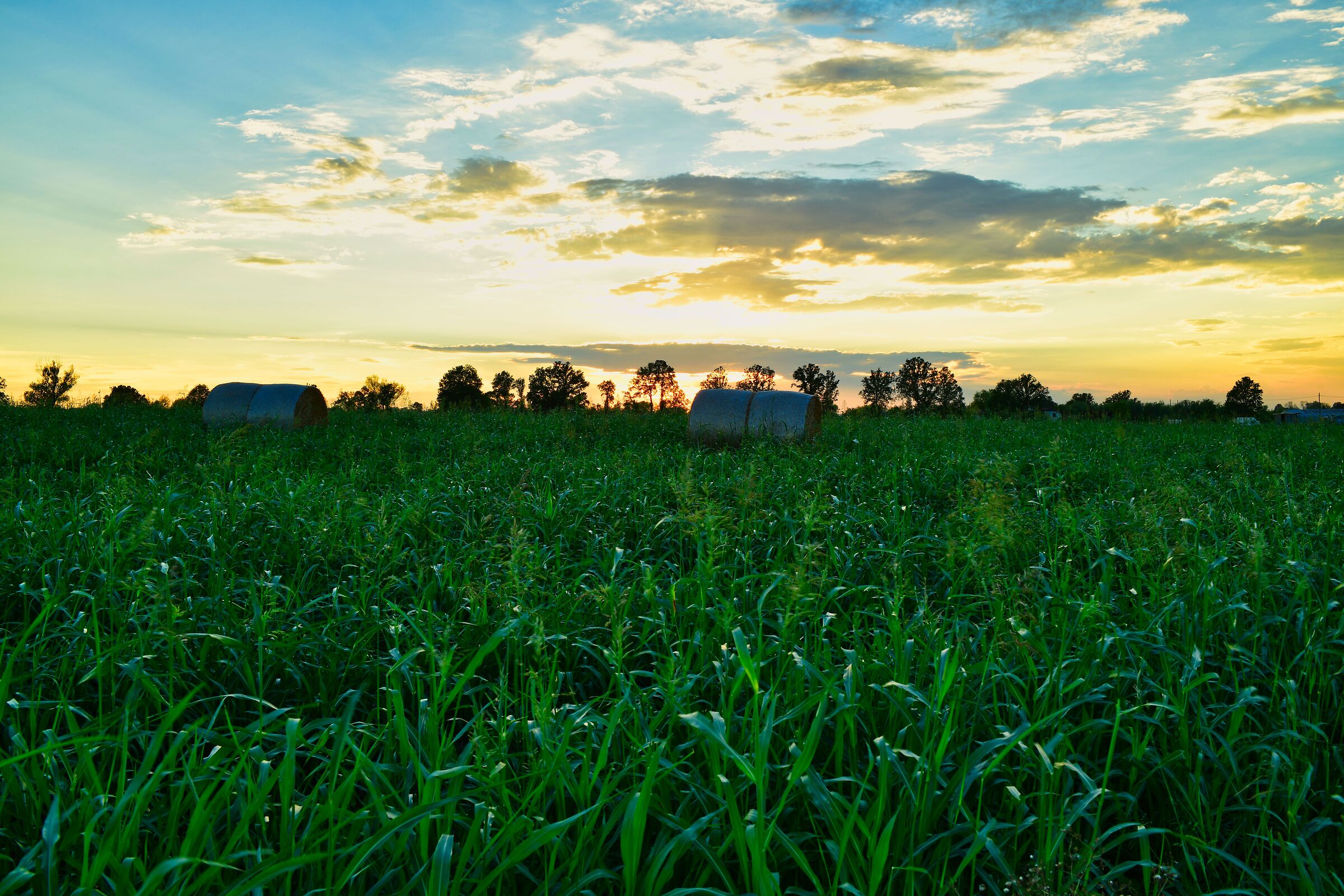 Borgonovo val tidone