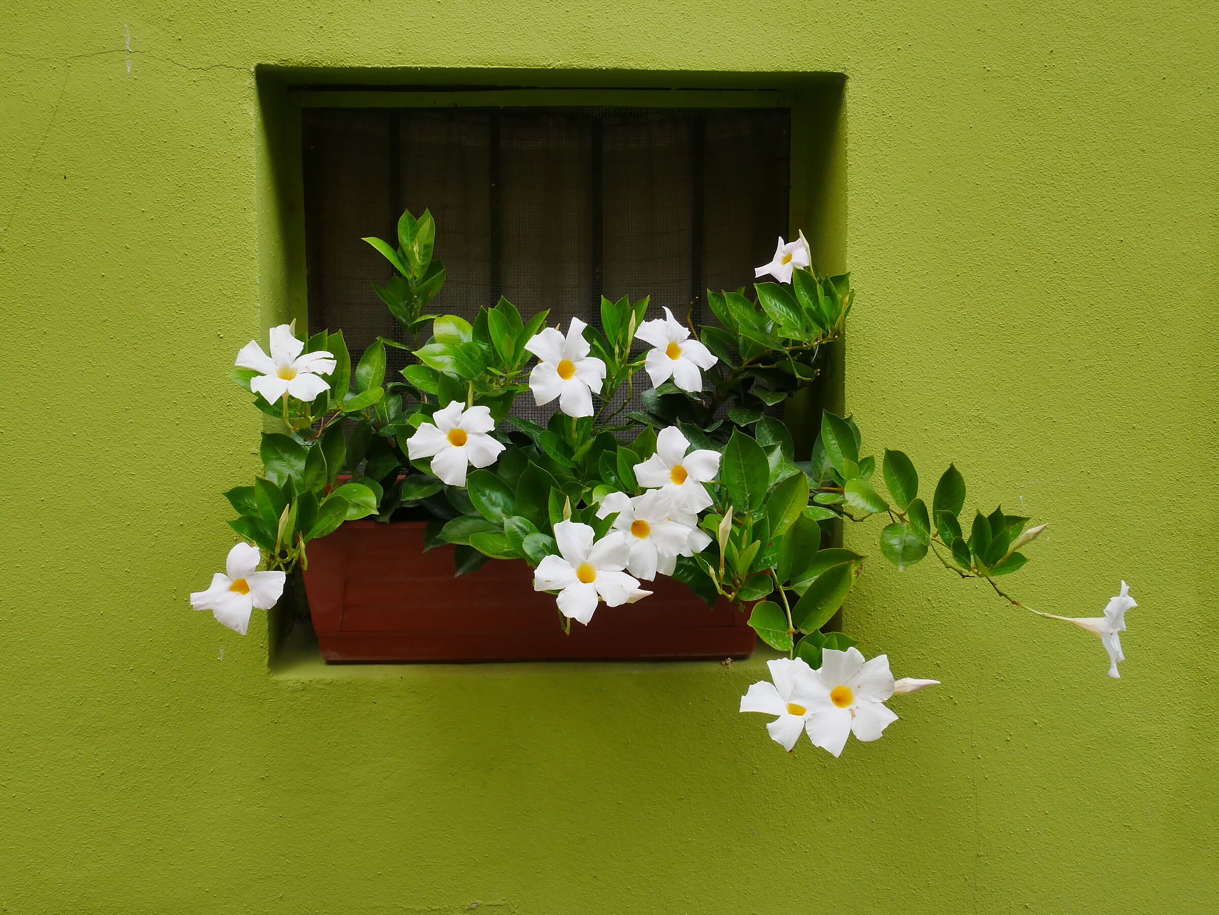 Ghizzano (Italy)