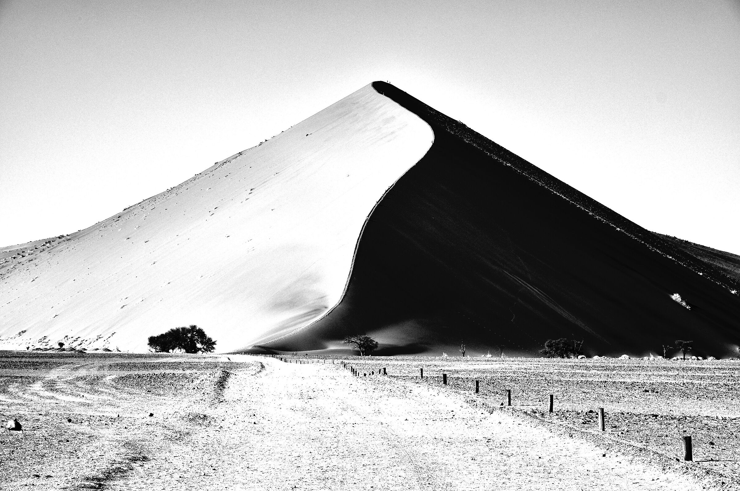 Namibia deserto del Namib