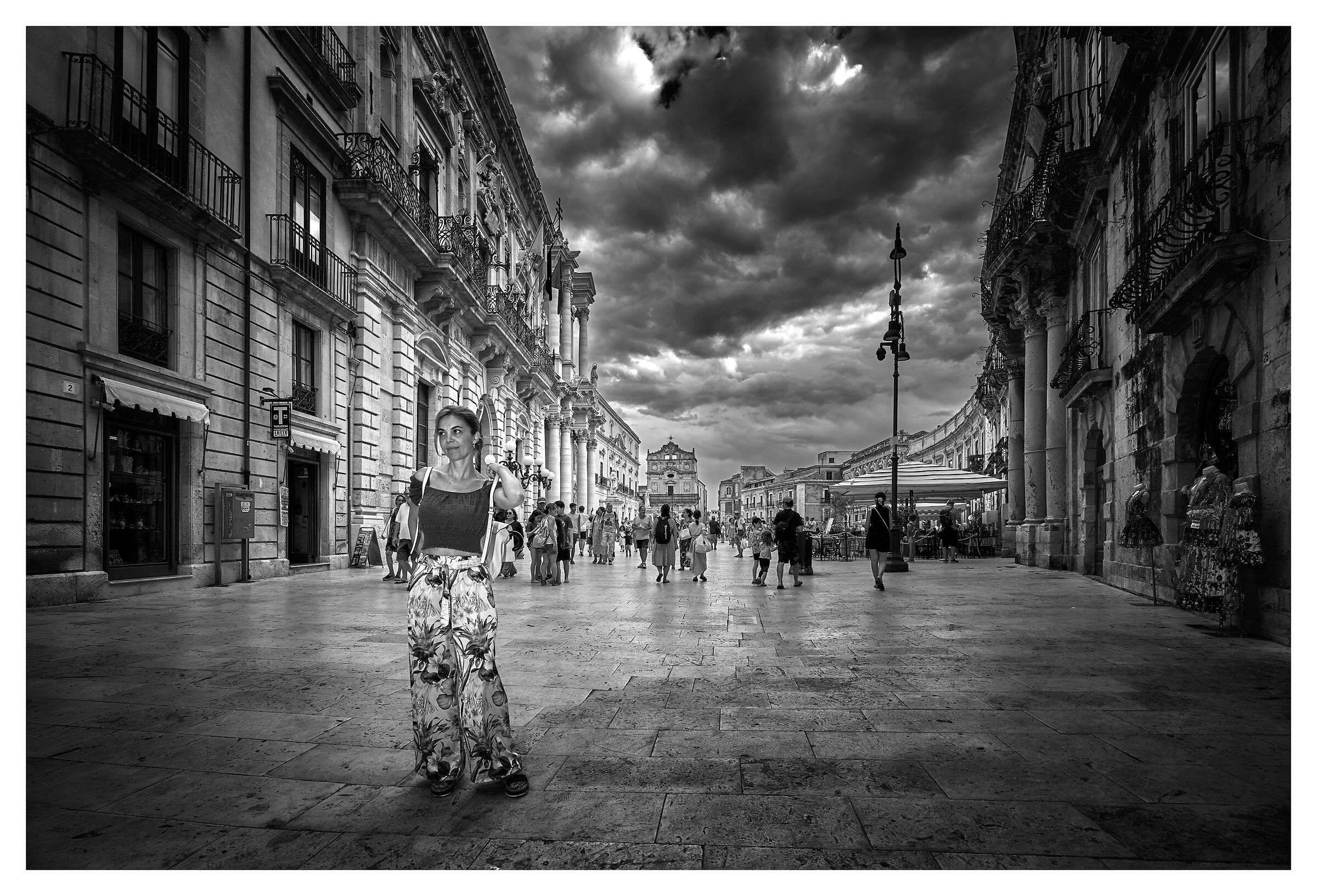 Ortigia bn