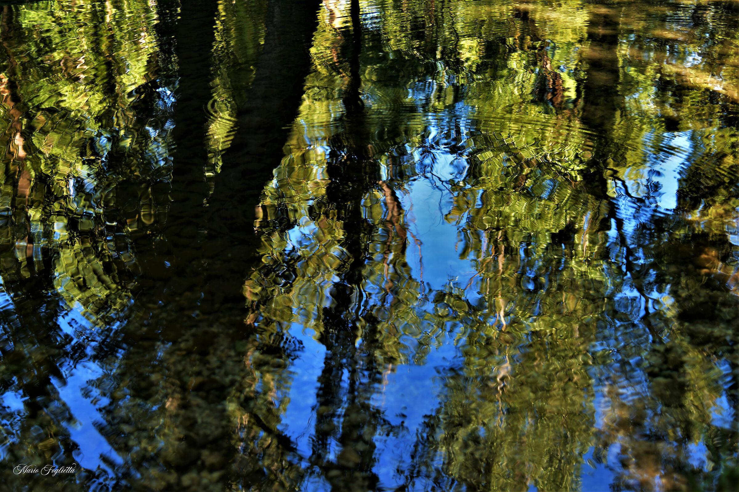 Reflexes by chance - Fonti del Clitunno