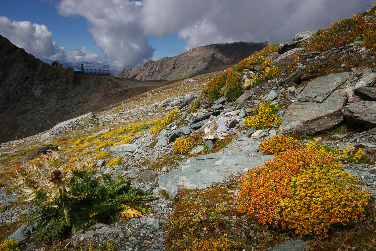 3000 meters of colors ...